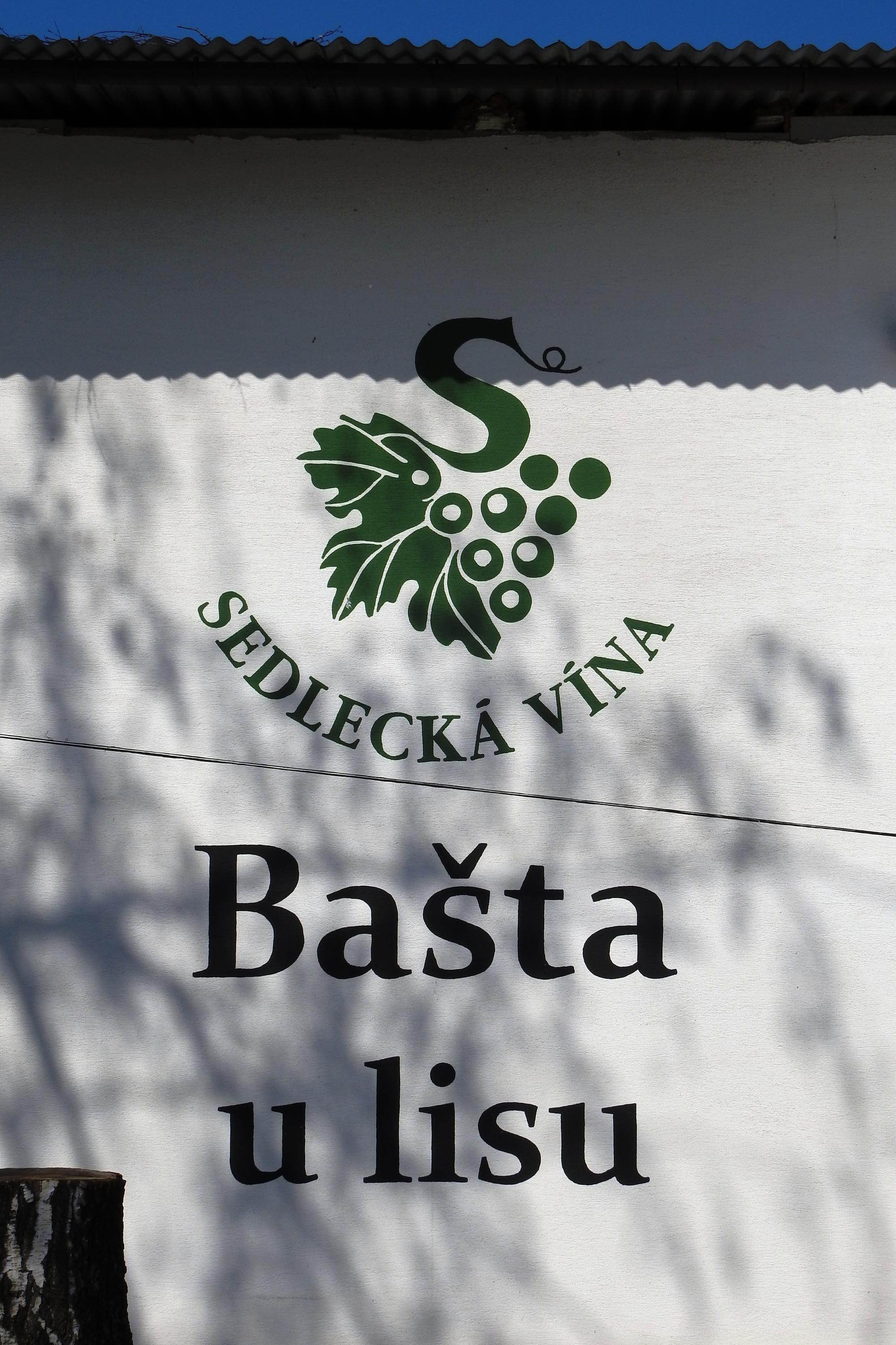 Penzion Sedlecká vína foto 6