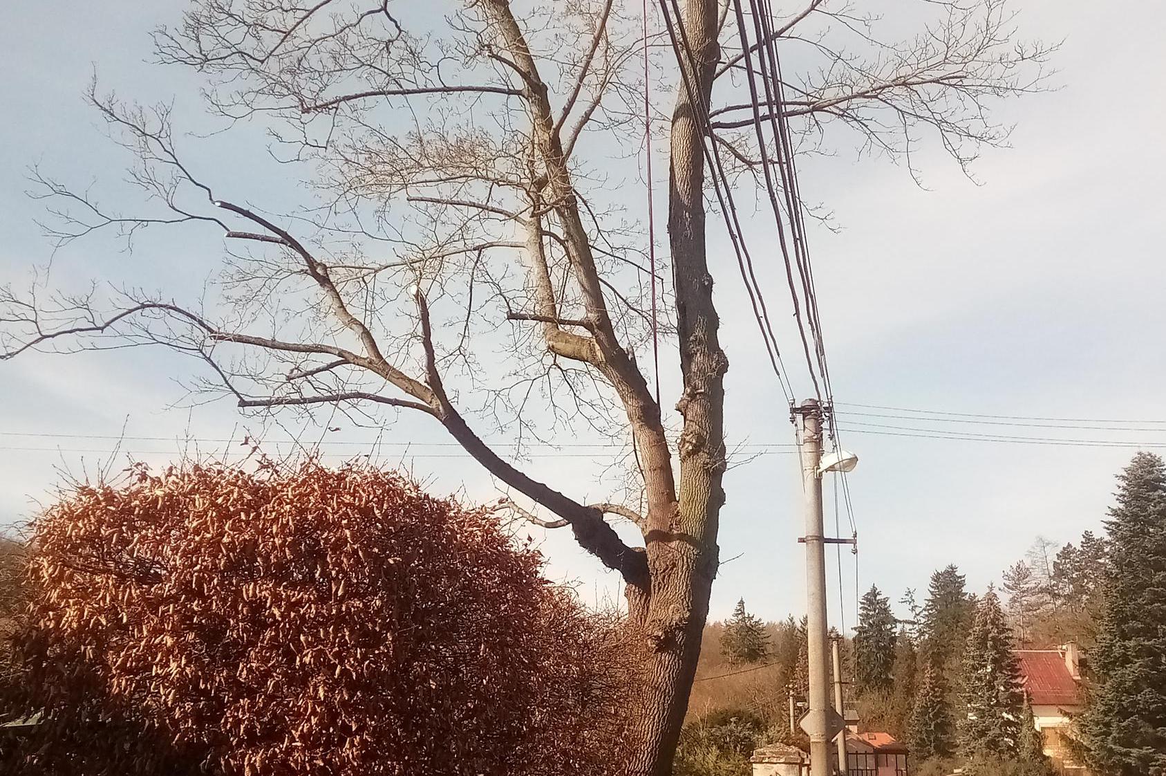 Údržba zeleně Michal Bauer