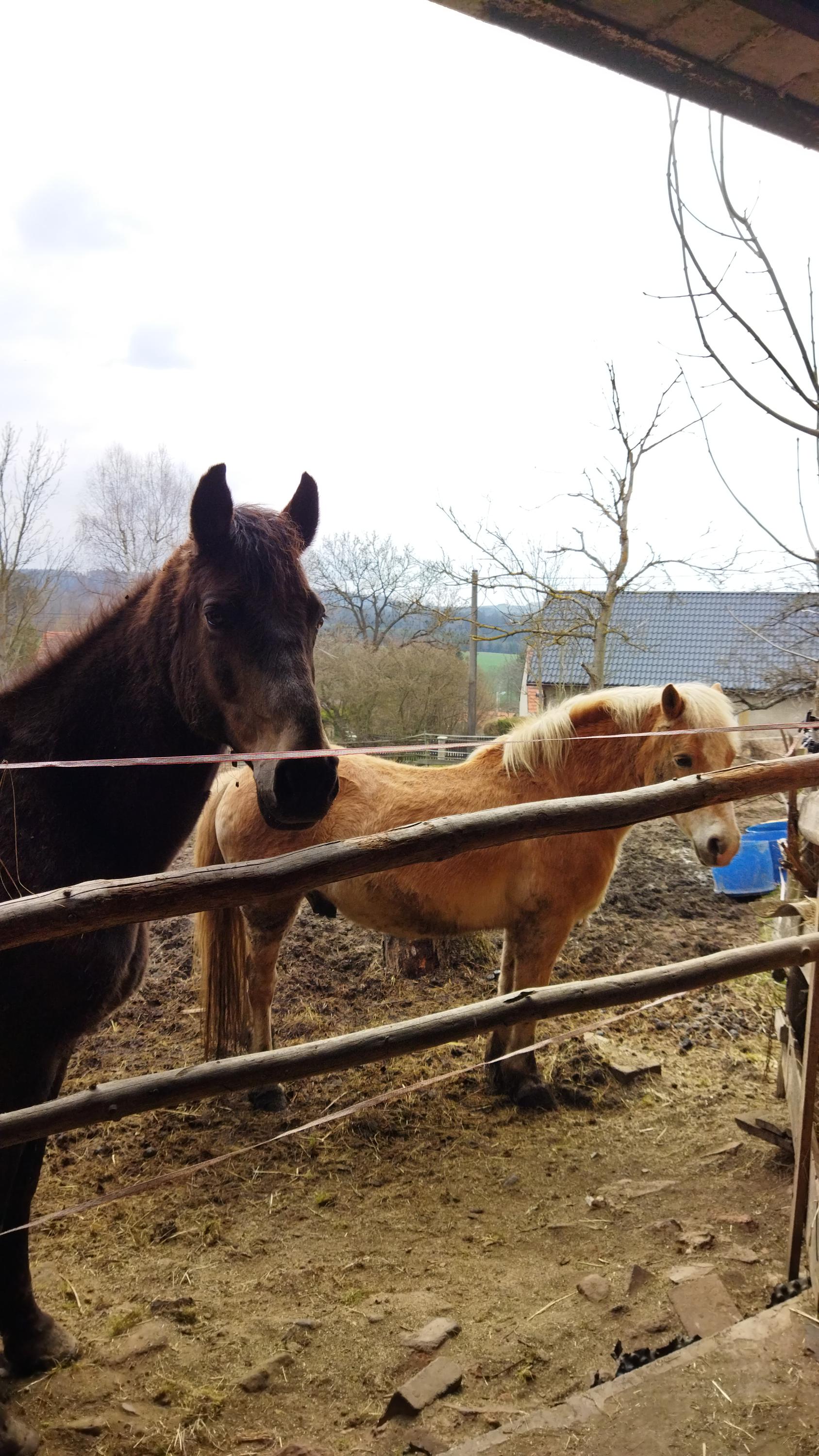 Ranč Bílá skála foto 6