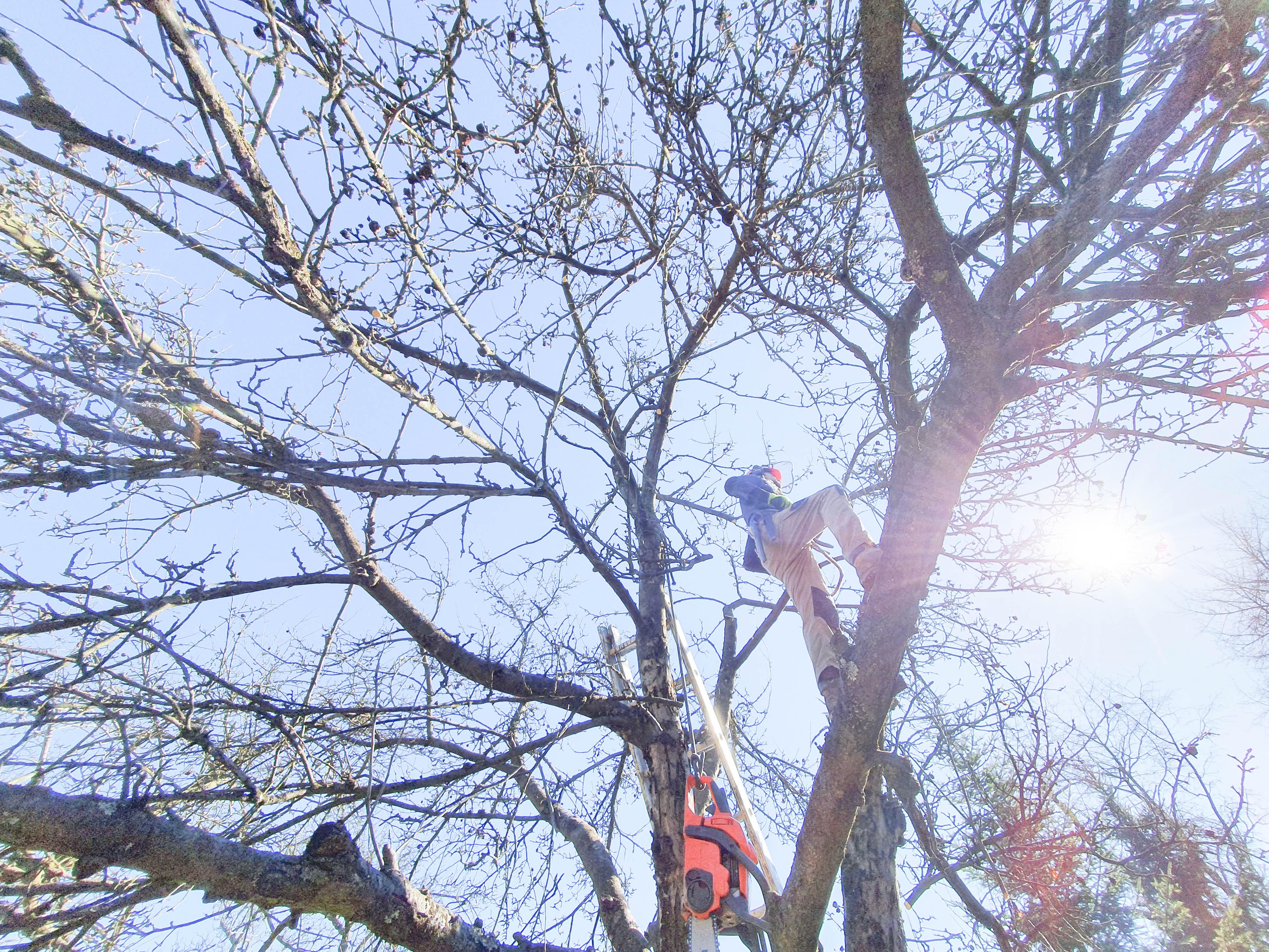 Hodinový zahradník - Evžen Blecha foto 3