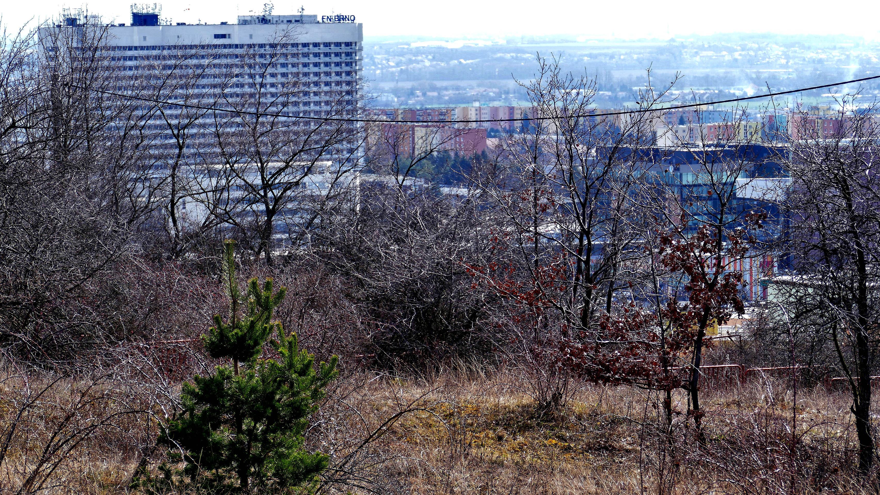 Fakultní nemocnice Brno foto 2