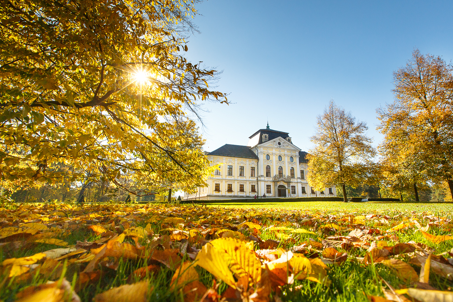 Zámek Kravaře foto 4