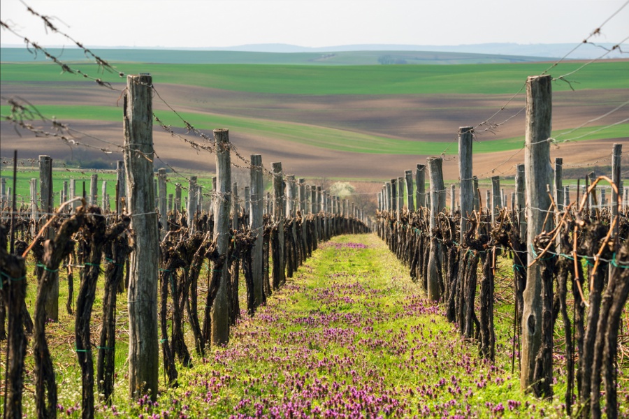 Nezapomenutelné zážitky pro vás