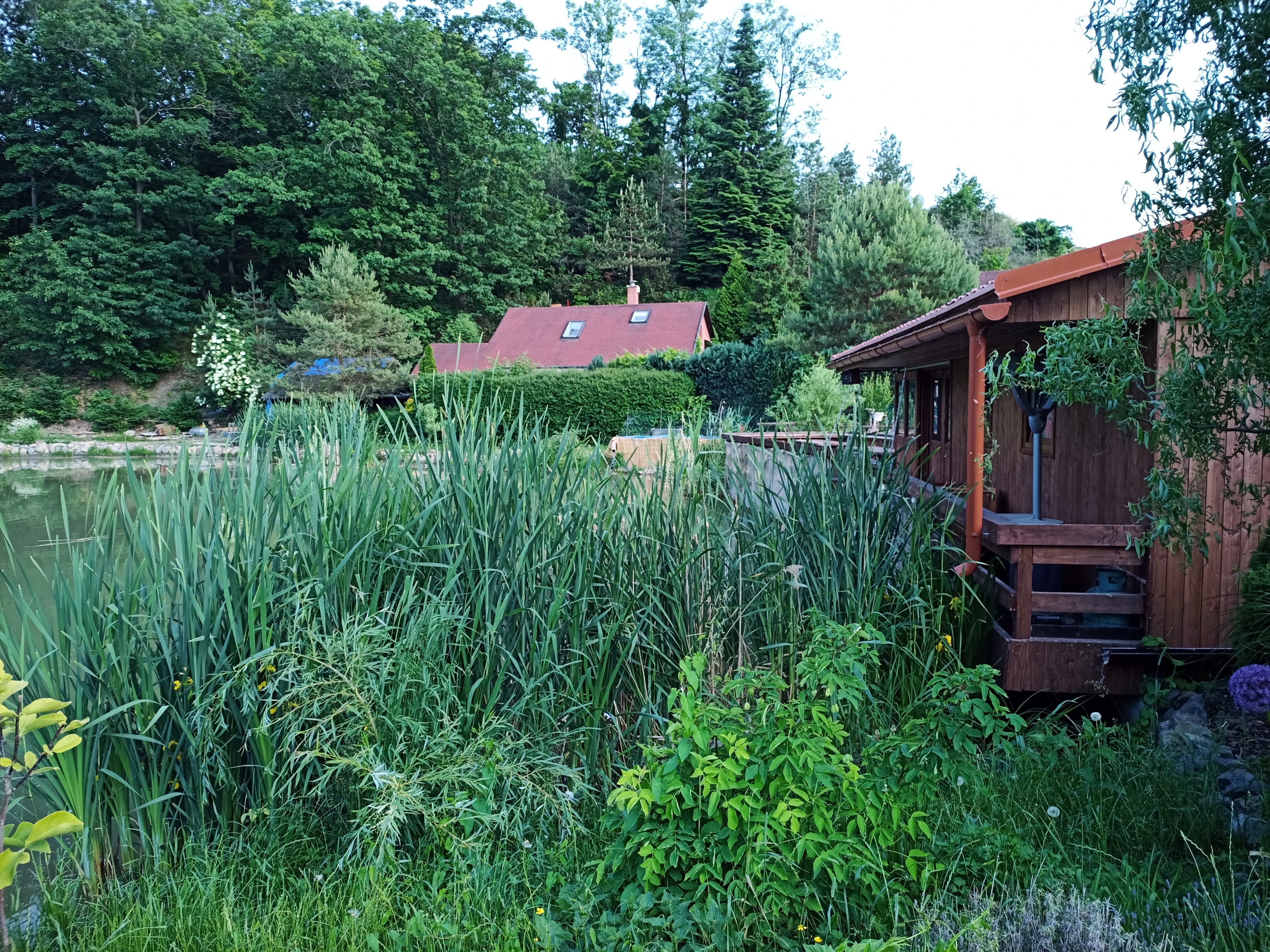 Kalendova Chabrybárna foto 6