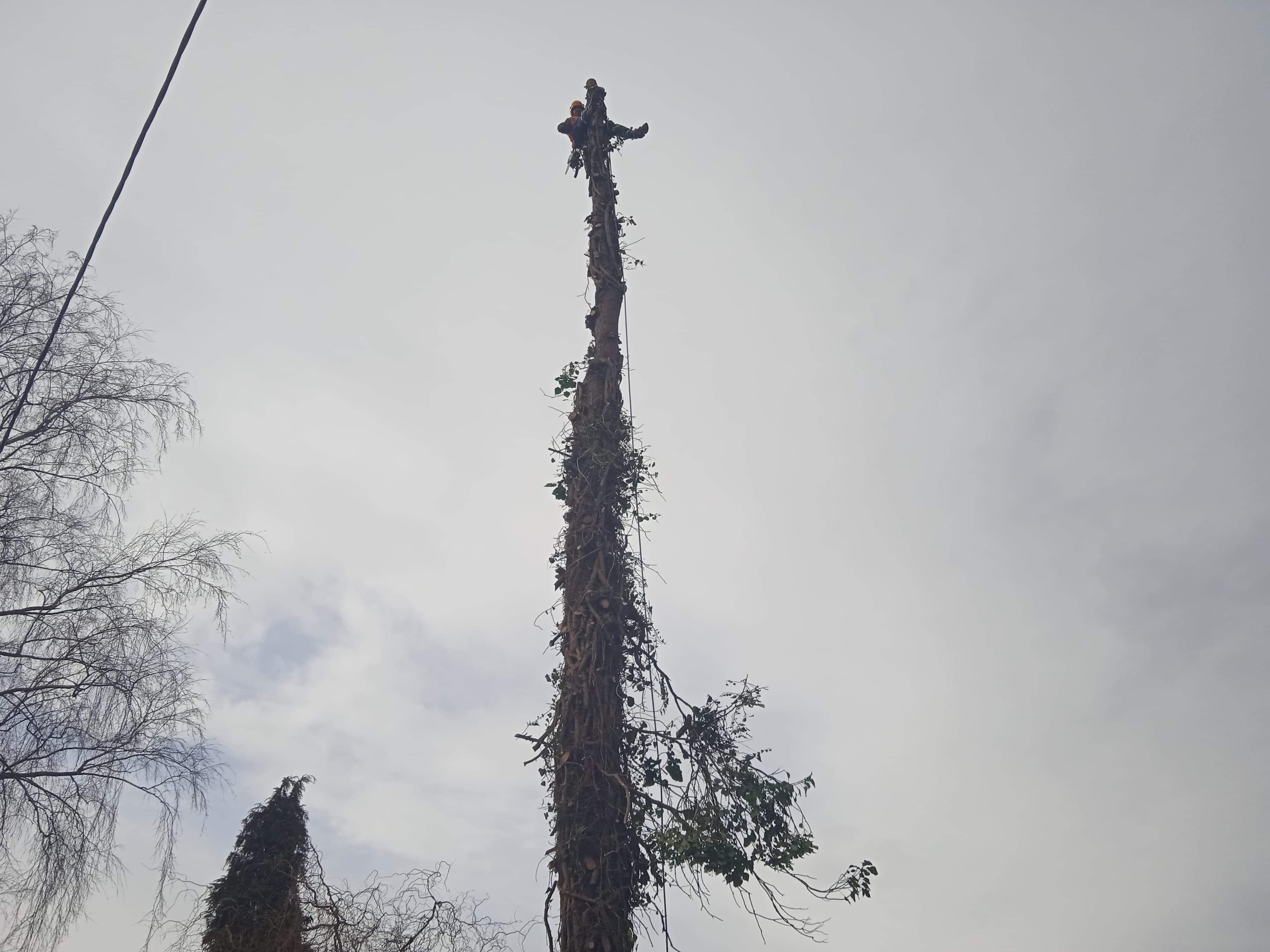 Výškové práce David Šuta foto 3