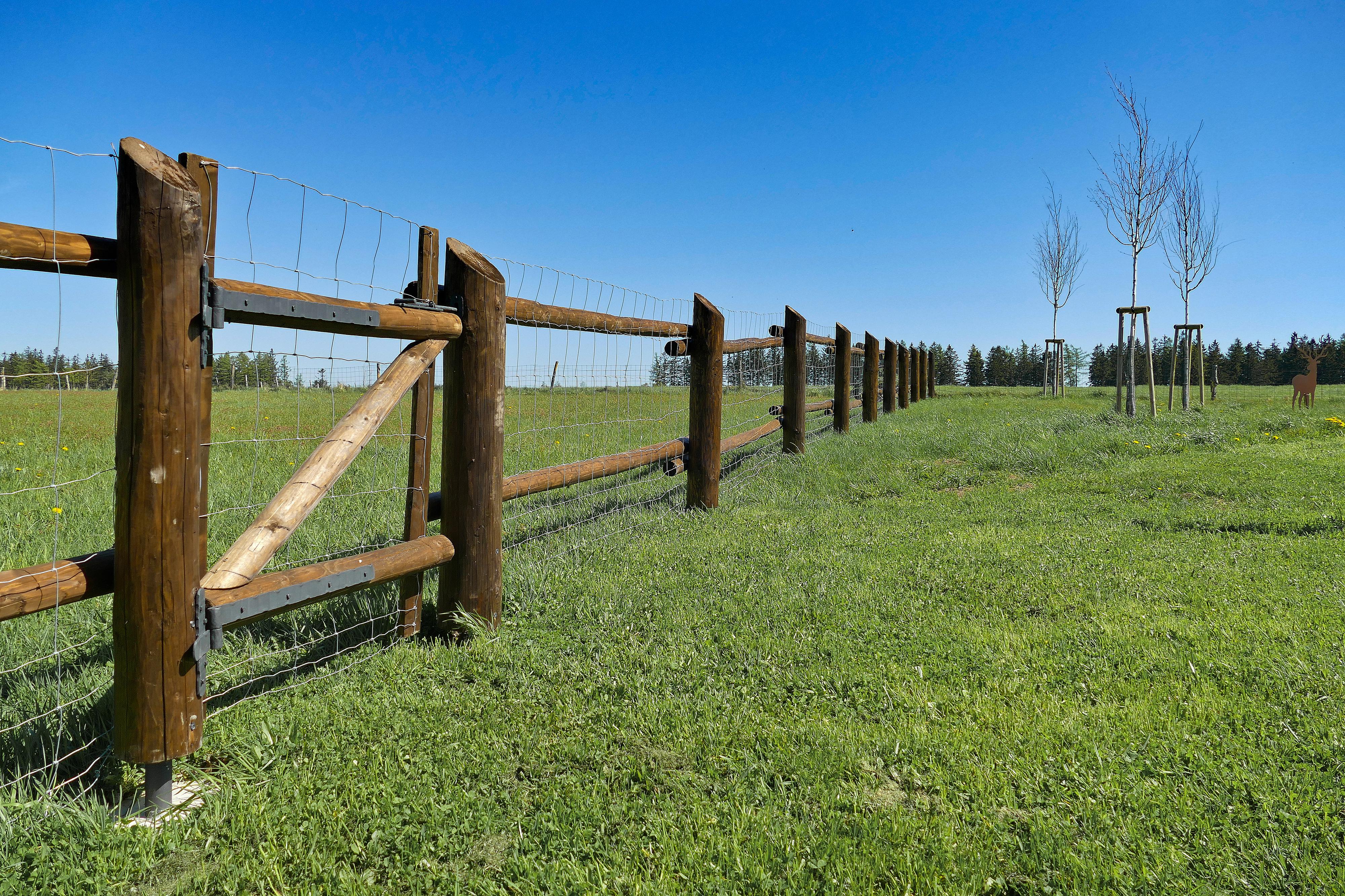 Roubenka u Lišky foto 2