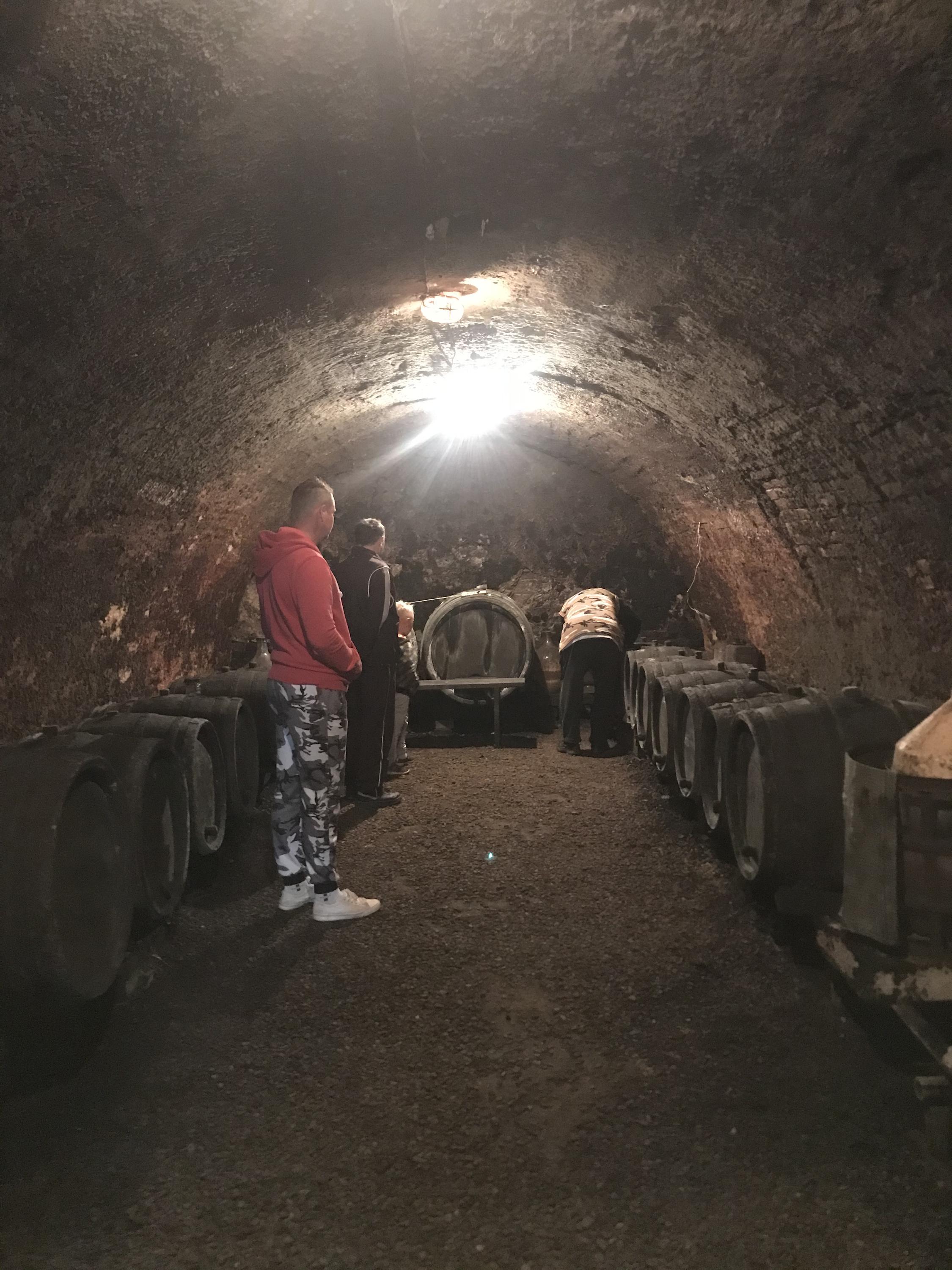 Vinný Tunel foto 6