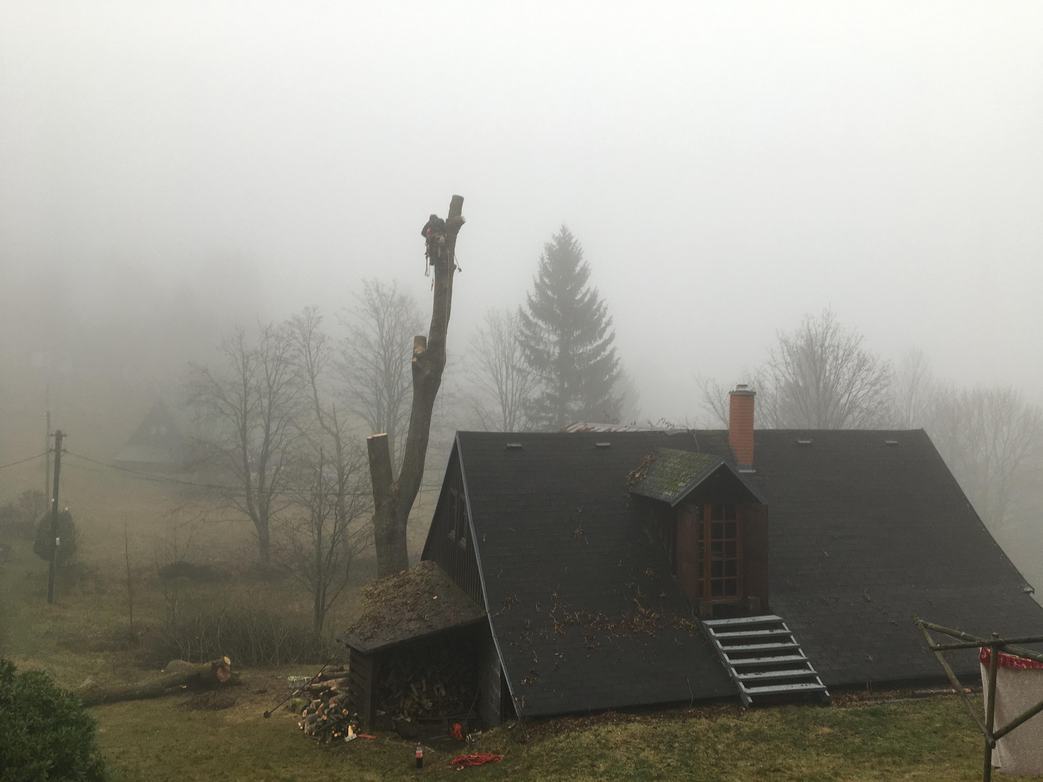 BERAN - Rizikové kácení stromů, údržba zeleně a výškové práce foto 3