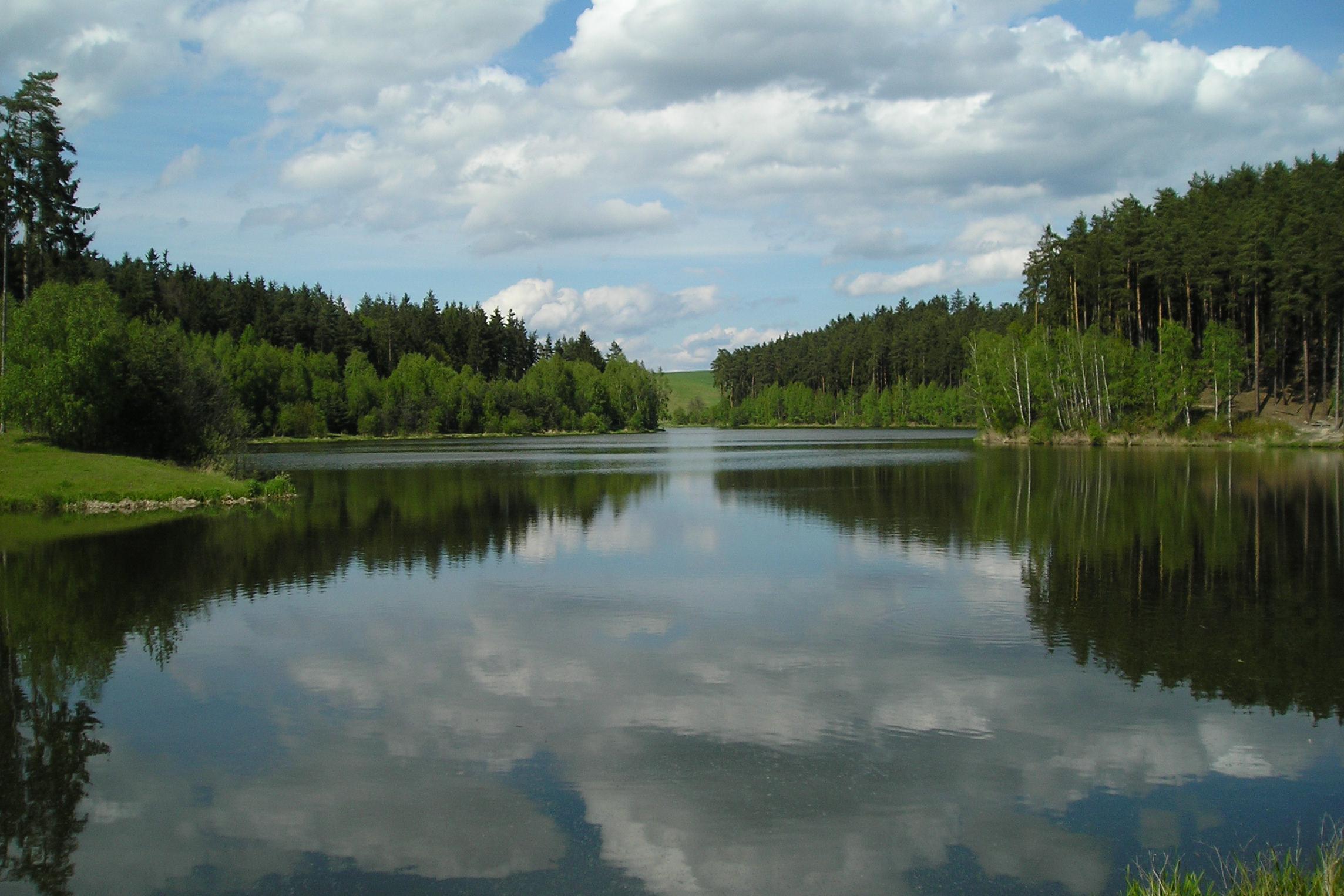 Jezero Chvojnice