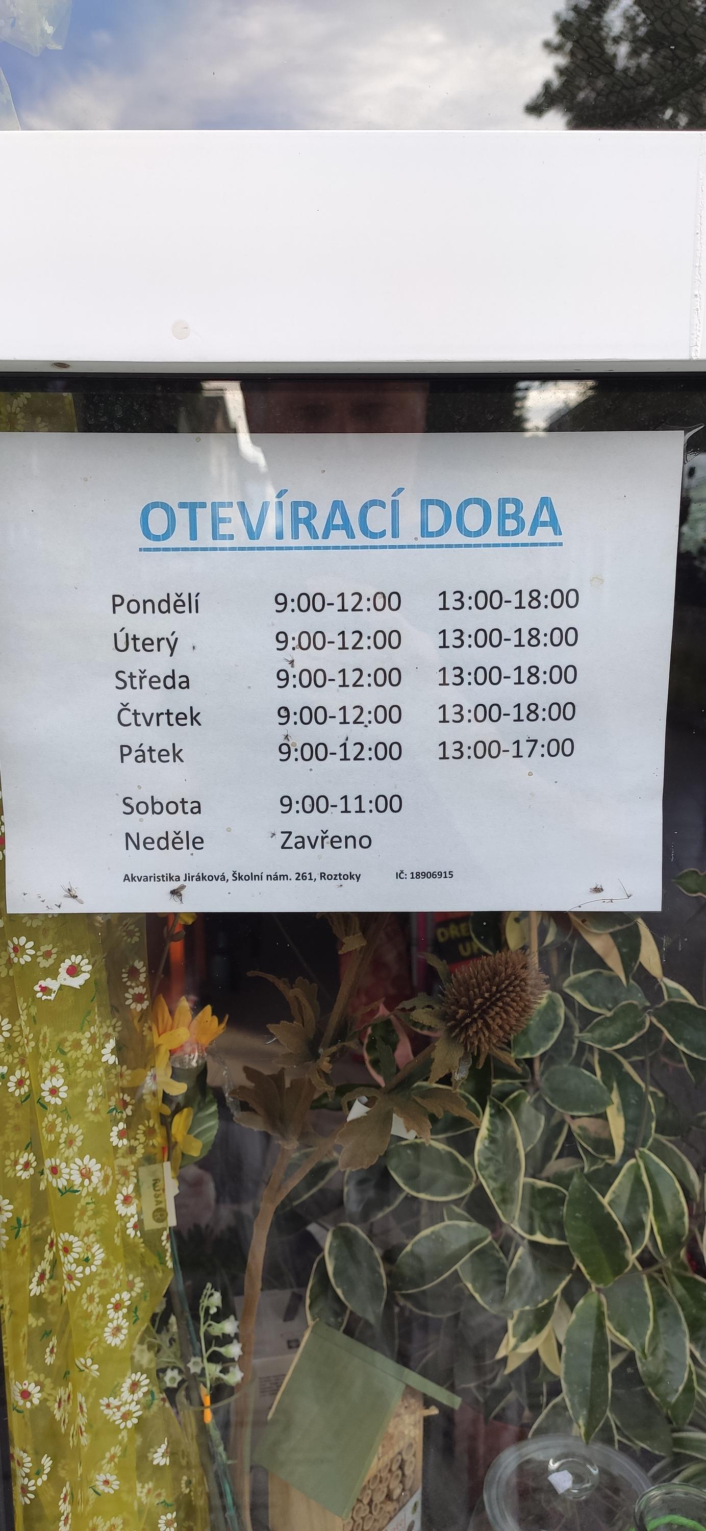 OAZA foto 2