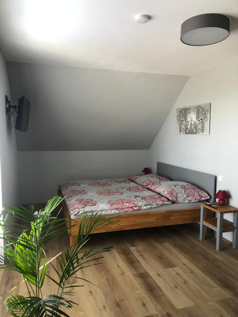 Ubytování Ve Vinici foto 6