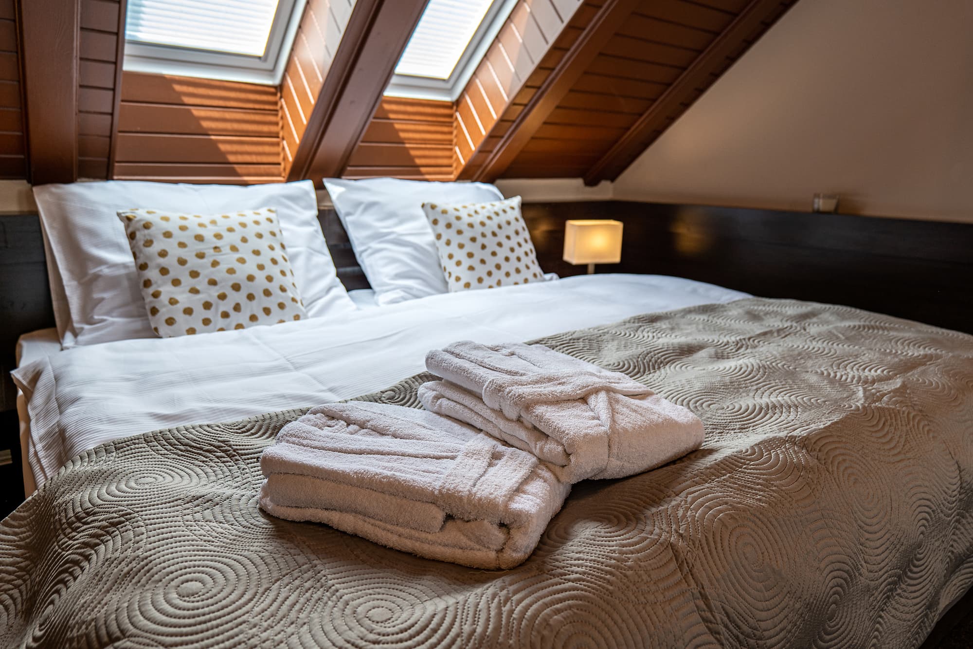 Wellness Hotel POD KYČMOLEM foto 3