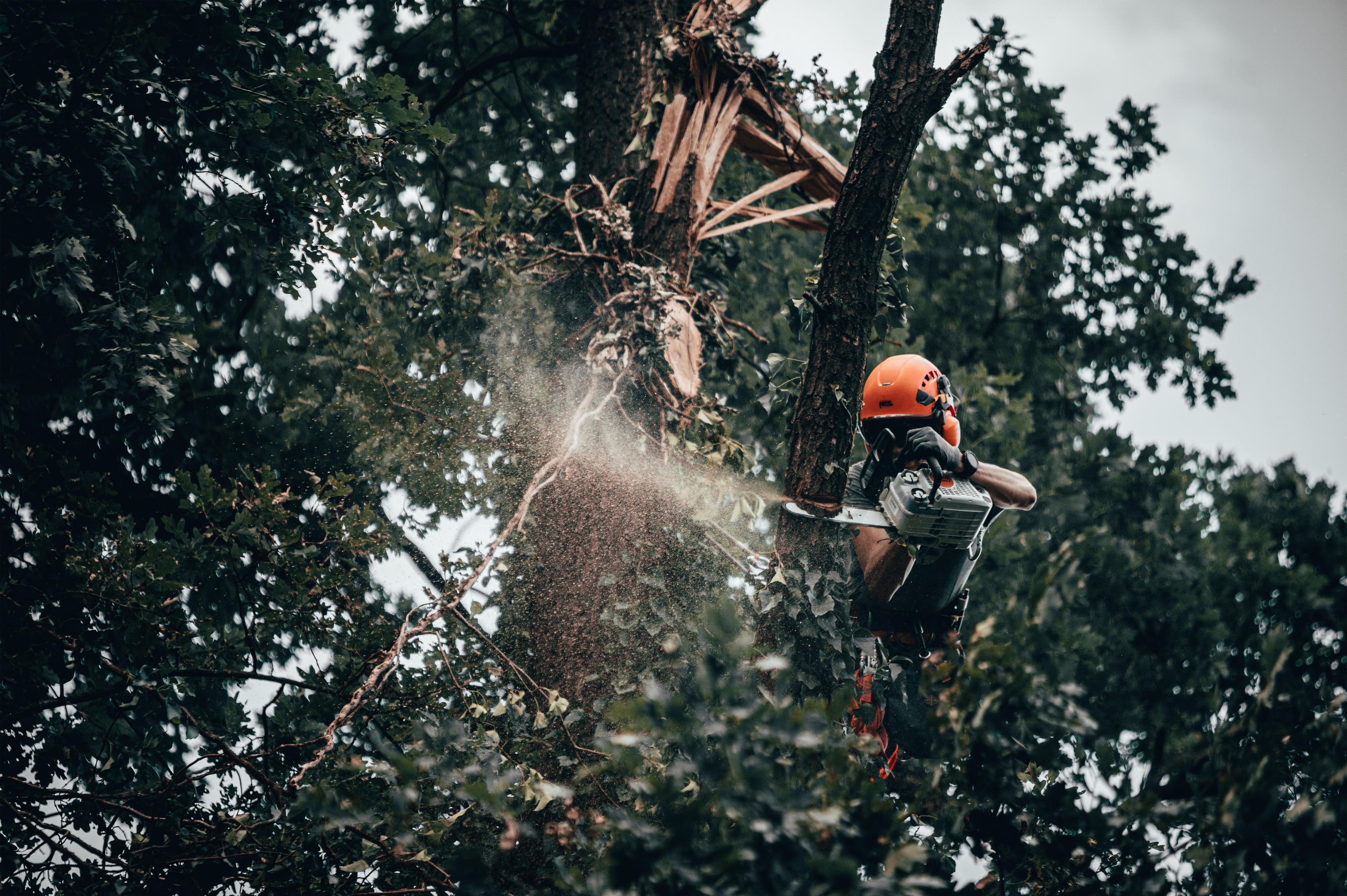 Richard Rudolf Vilímek