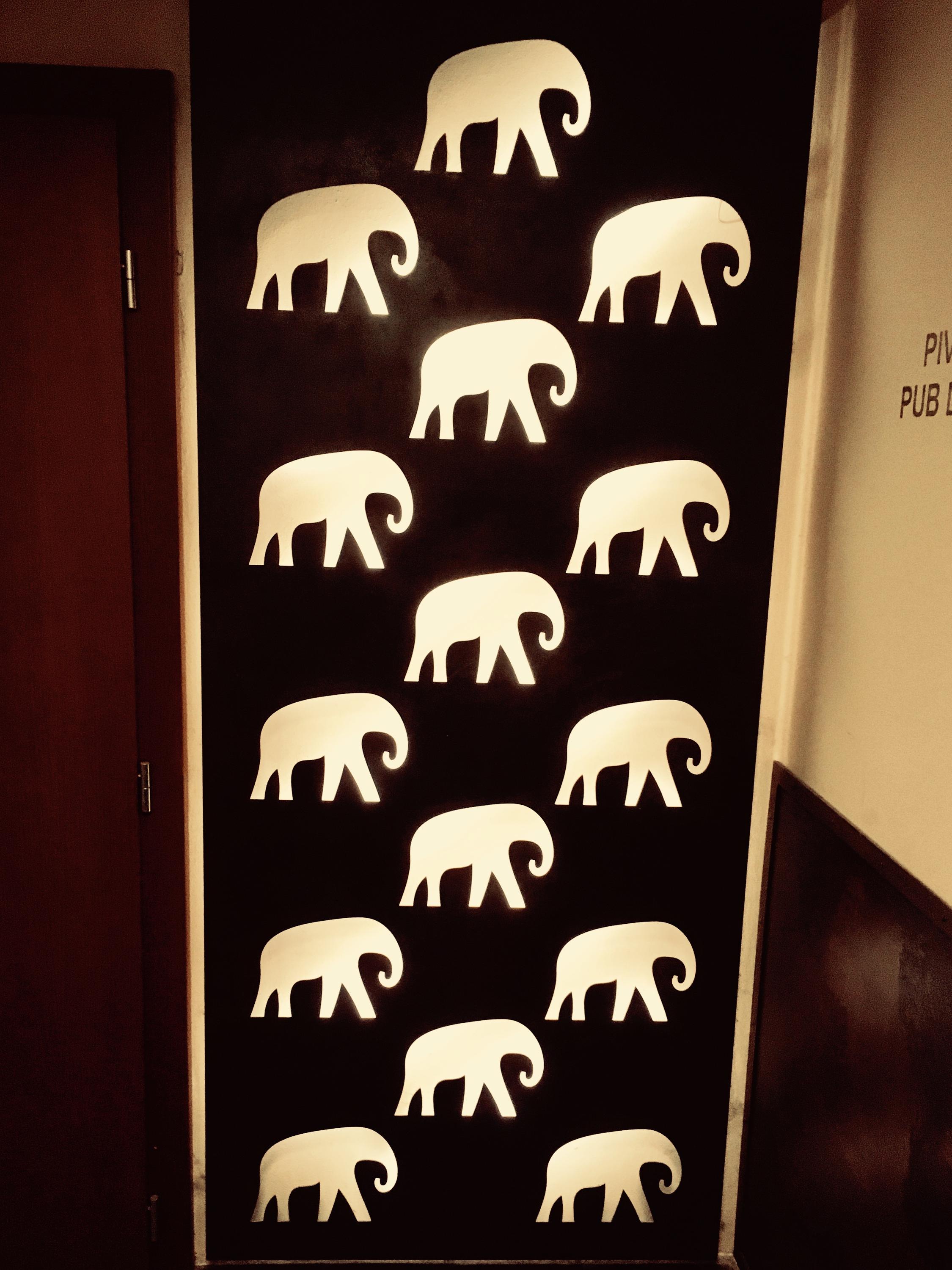 Pivnice U Zlatého slona foto 4