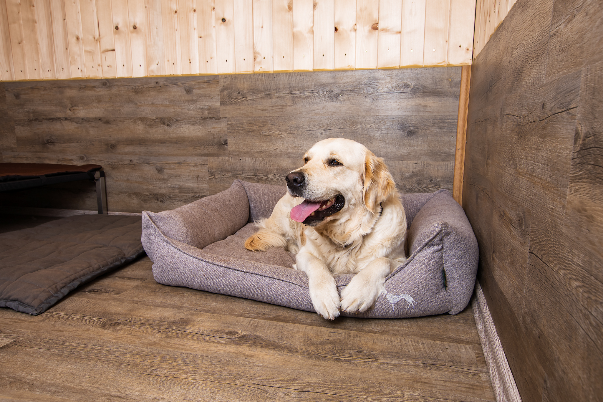 Hotel pro psy Na samotě u lesa