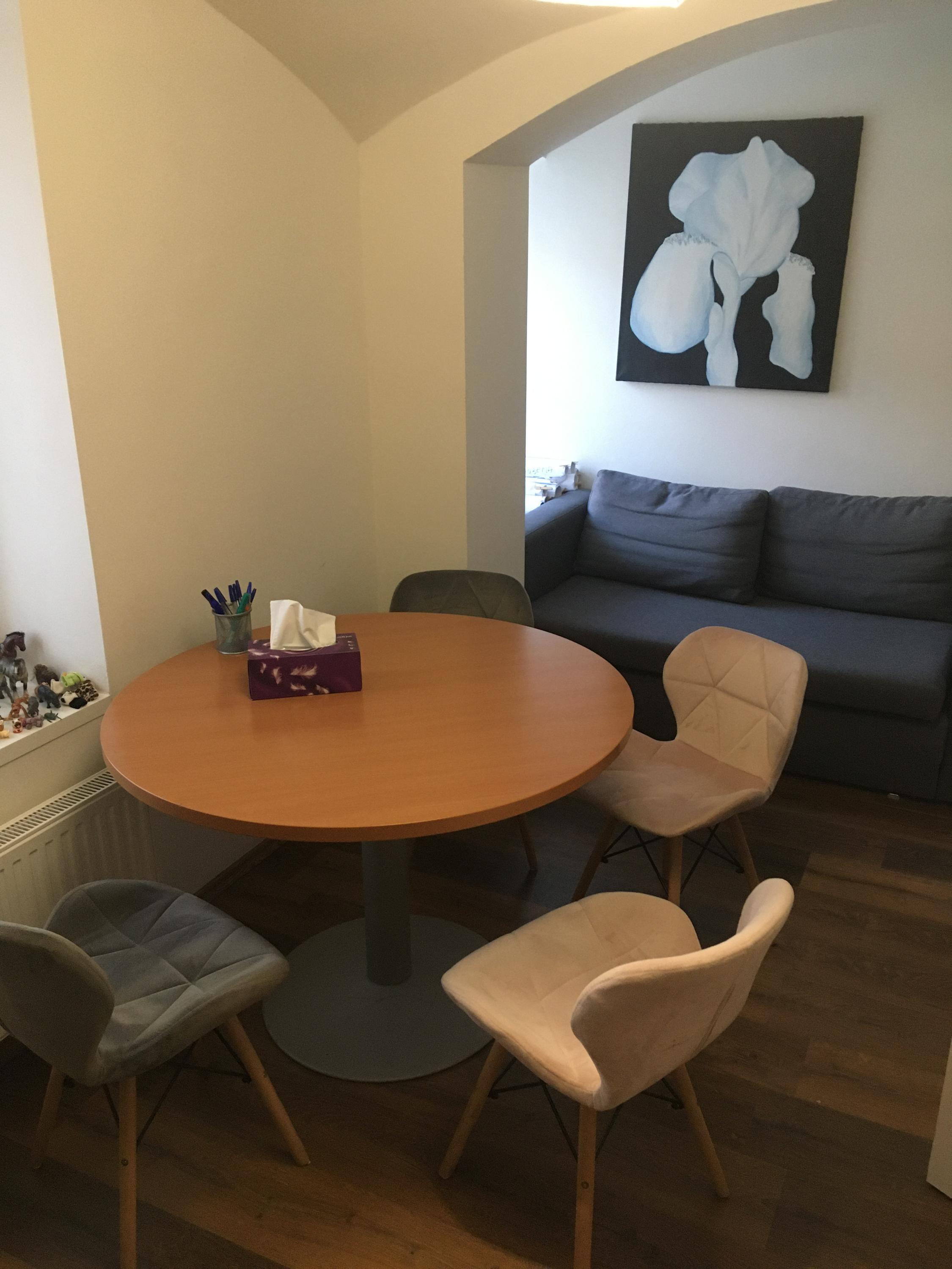 Mediátor -  Bc. Ivana Řezáčová Filipová foto 3