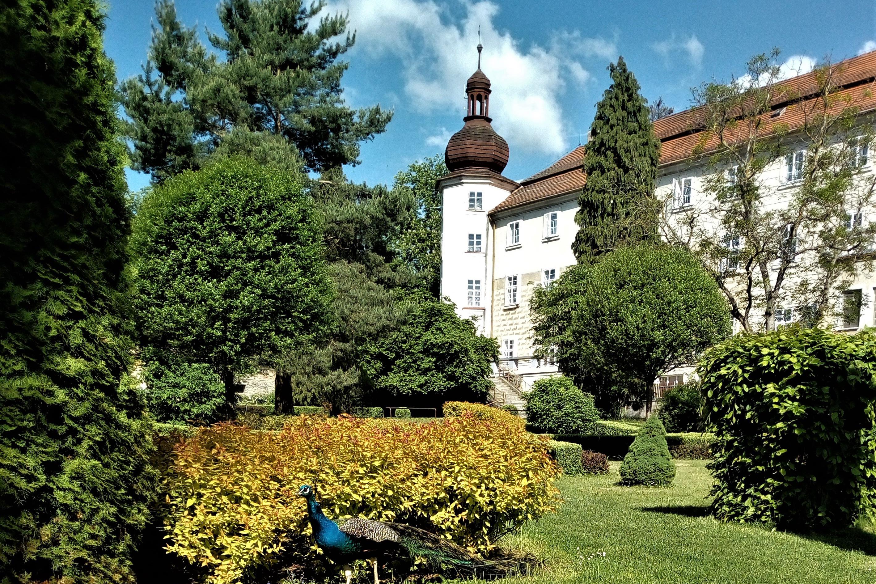 Dětská odborná léčebna Ch. G. Masarykové Bukovany