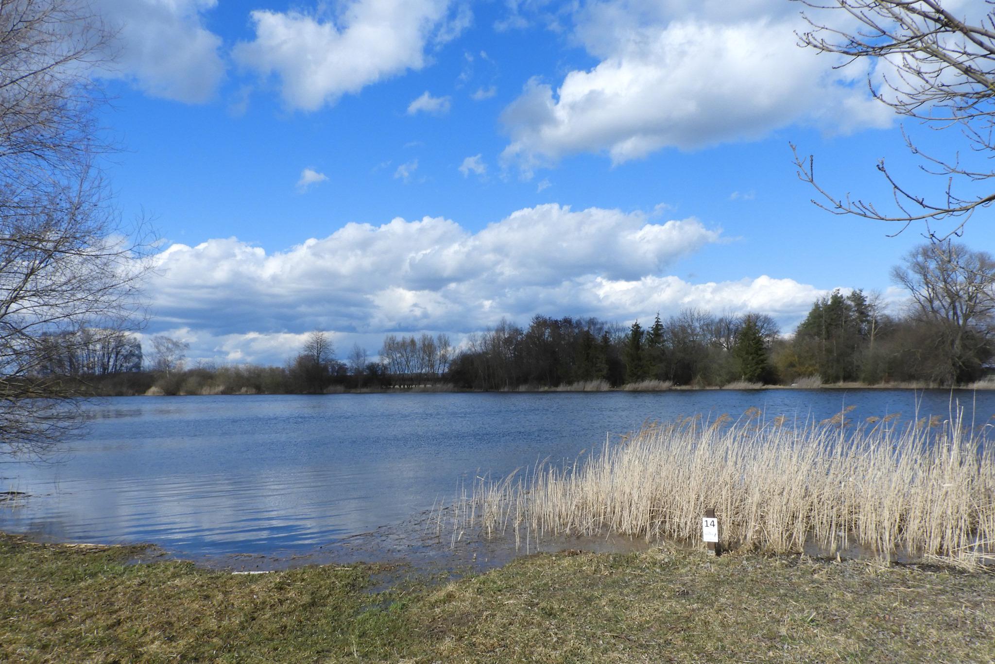 Sportovní rybolov - Rybník Struhy