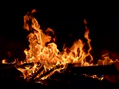 Palivové dřevo Martin Havel foto 2 (náhled videa)