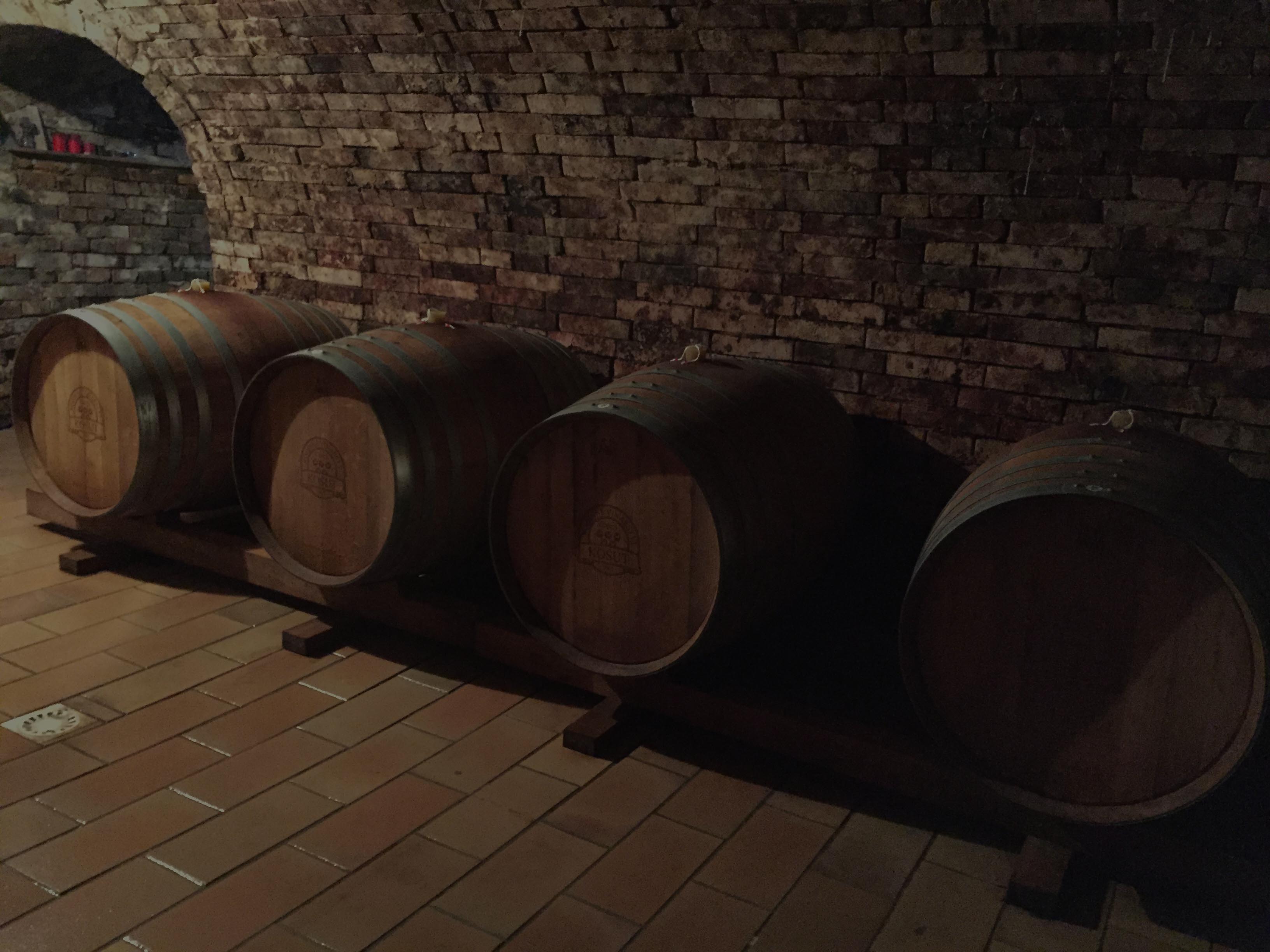 Rodinné vinařství Košut - Žlutý a modrý sklep foto 2