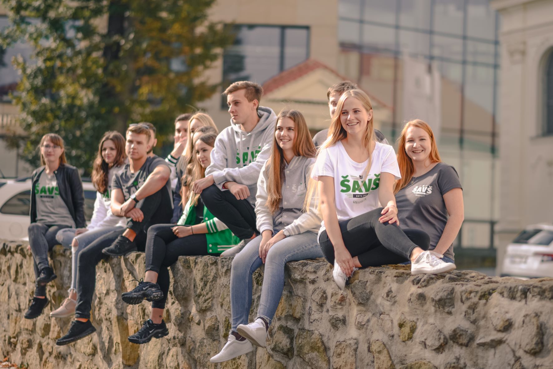 Knihovna Škoda Auto Vysoké školy