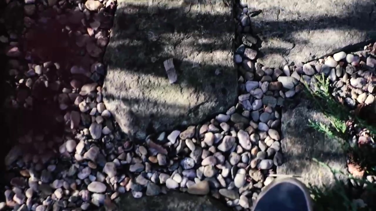 HRDINA Reality foto 2 (náhled videa)
