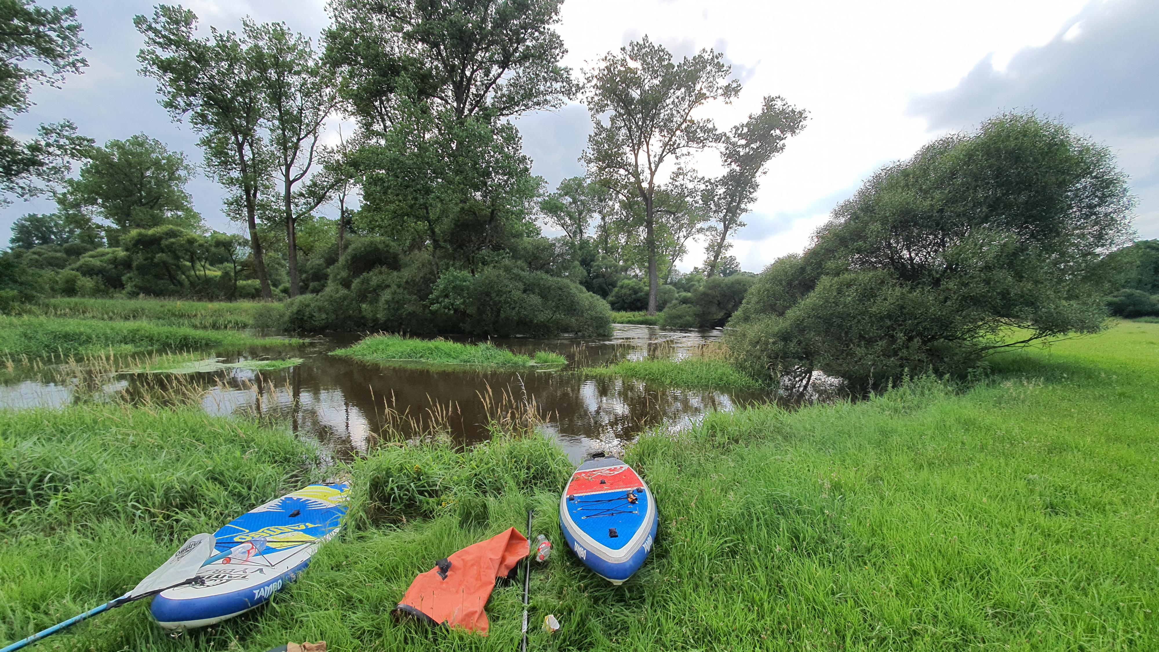 Vydra na Lužnici foto 5