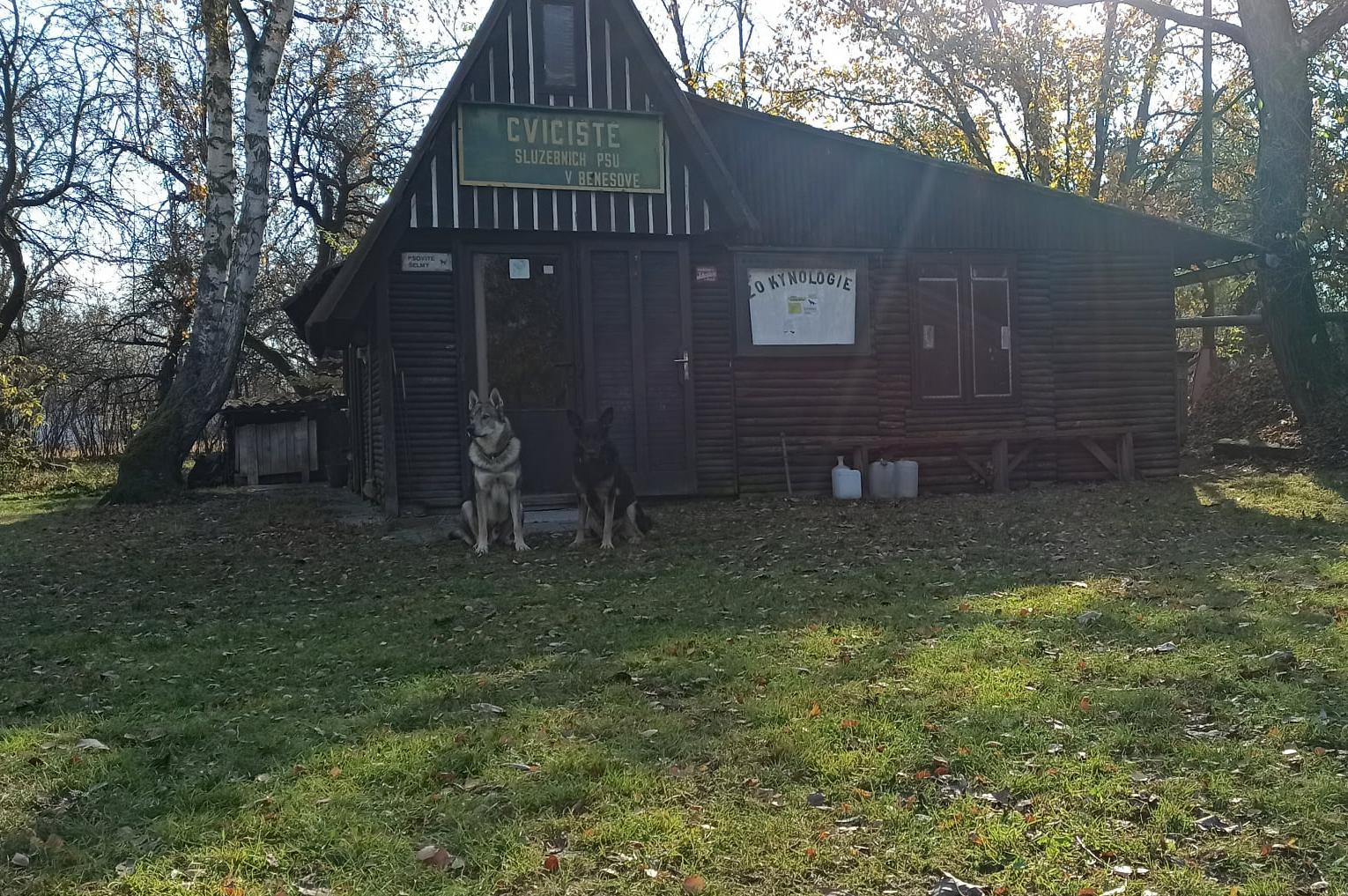 Výcvik psů - ZKO Benešov