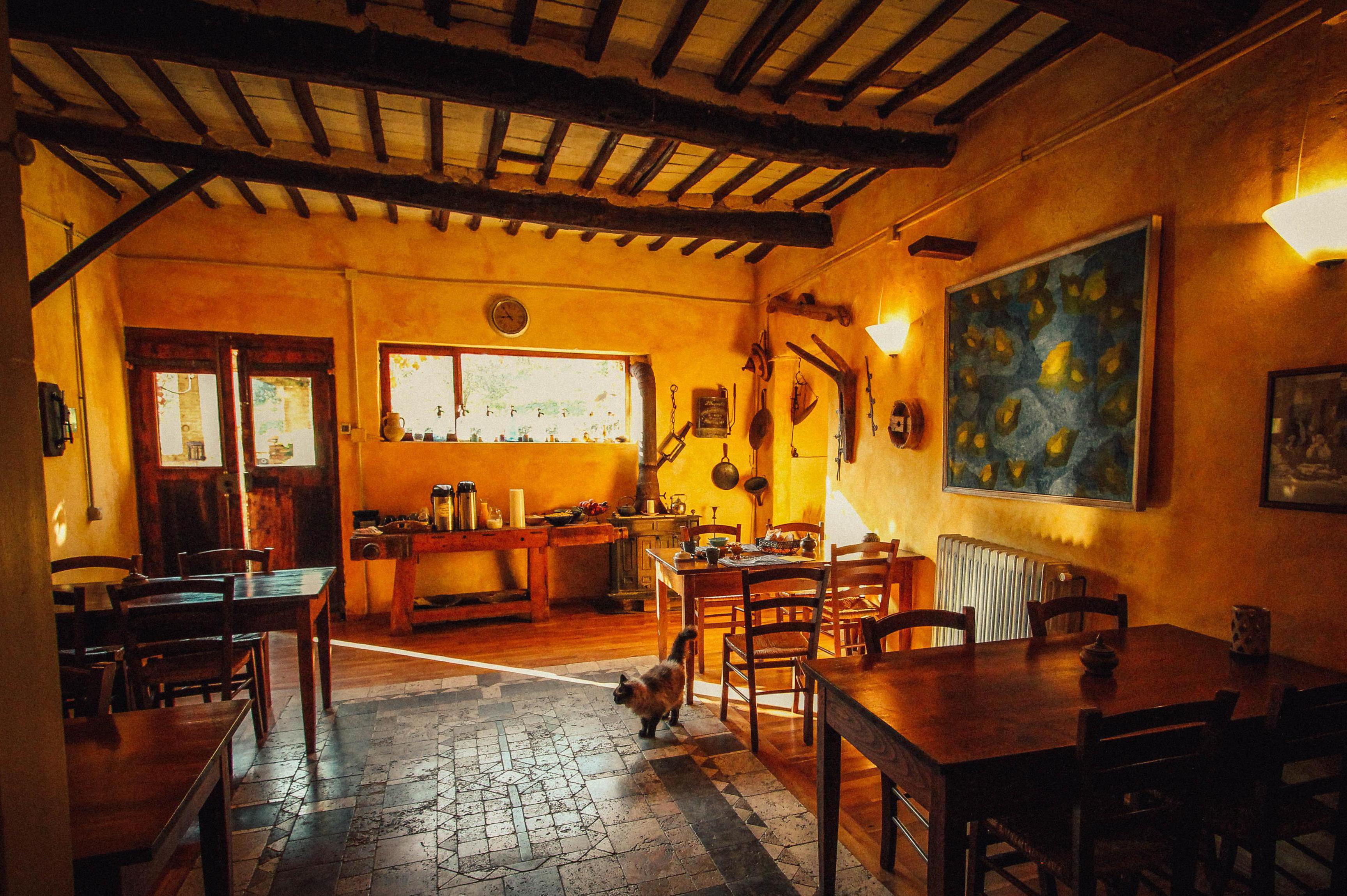 Ing. arch. Andrea Zaciosová