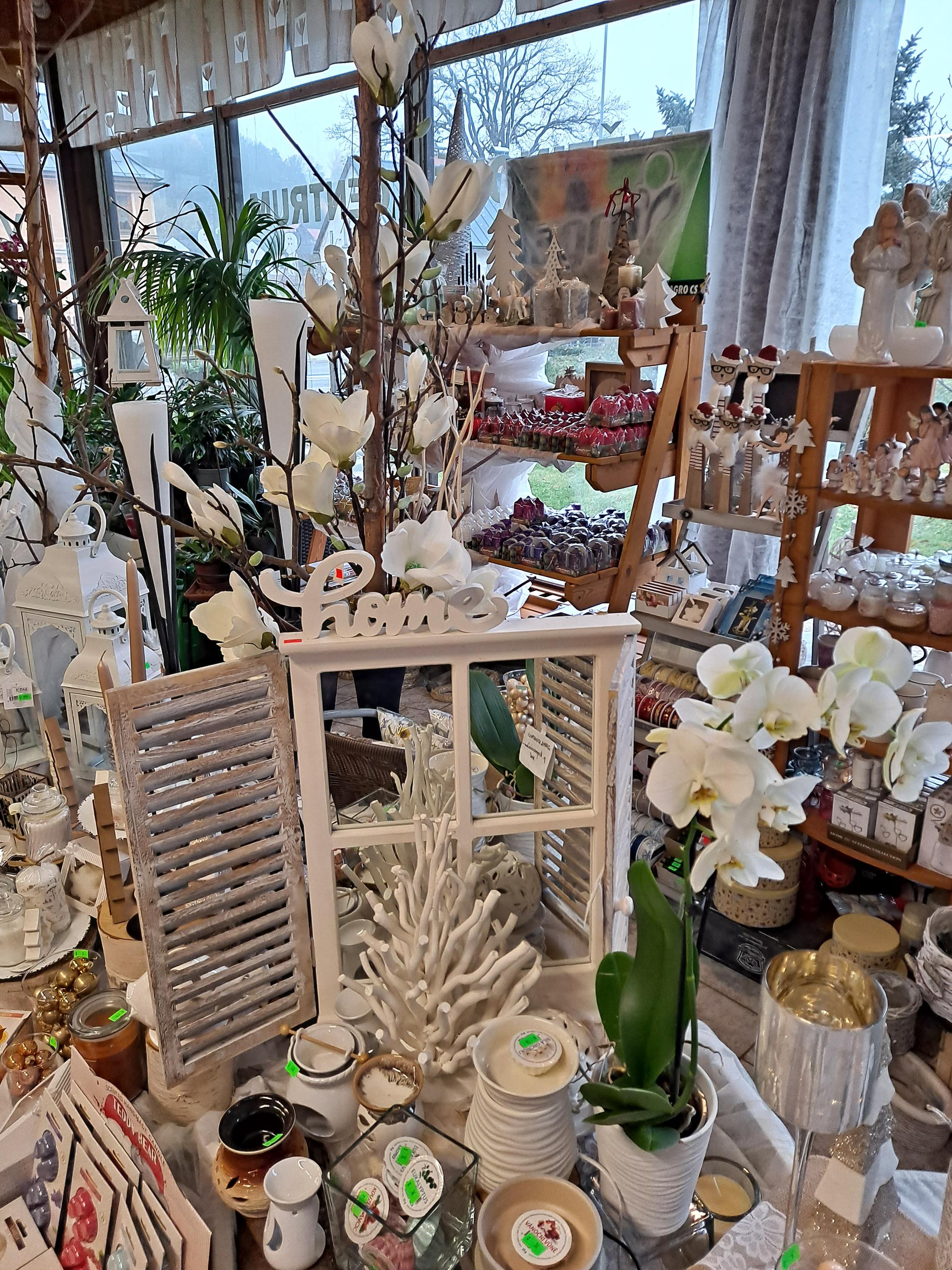 Liana Bridziková foto 3