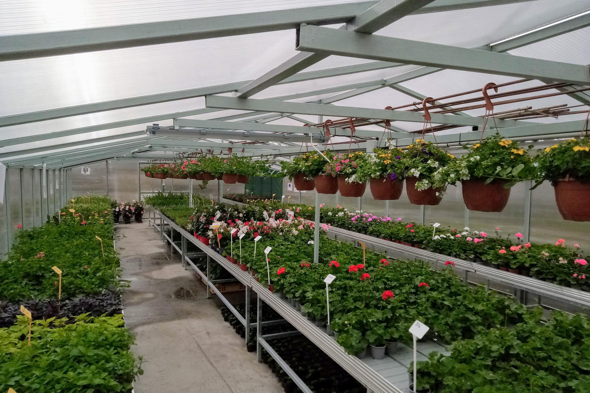 Zahradnictví U Hušků