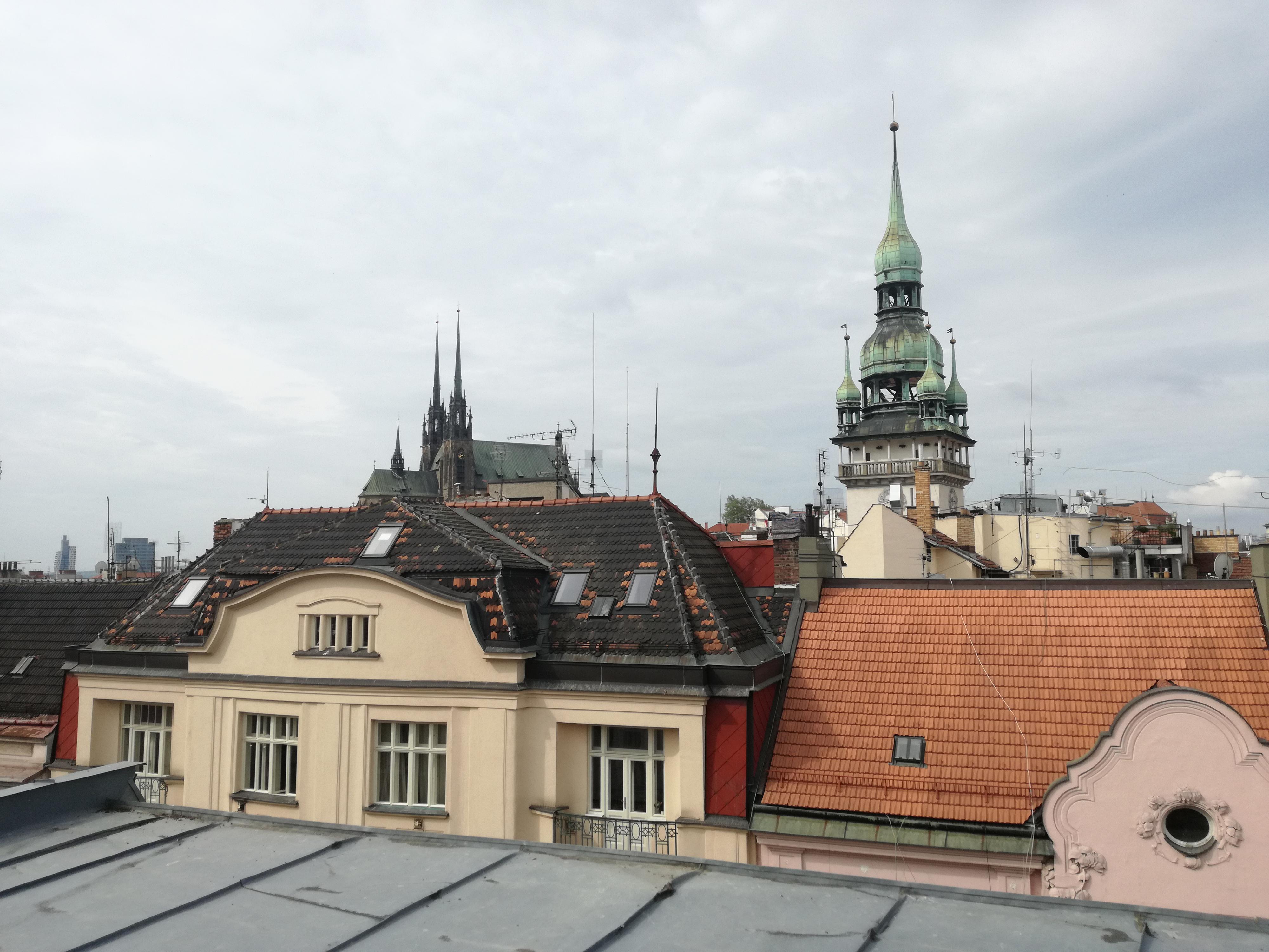 Roman Trenz - Revizní technik komínů a spalinových cest foto 4