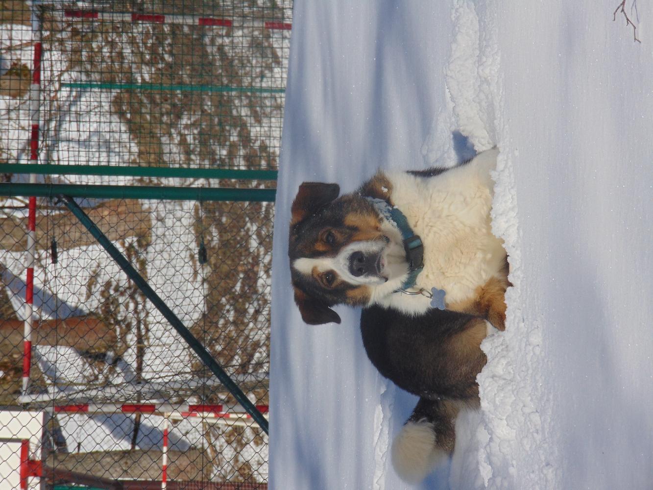 Restaurace Vápenka foto 4