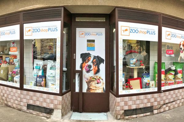 Zooplus acana outlet senior