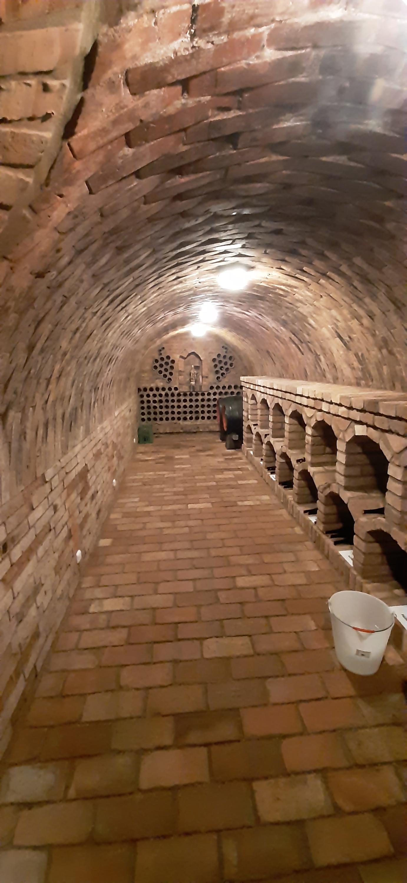 Rodinné vinařství Kašík foto 5