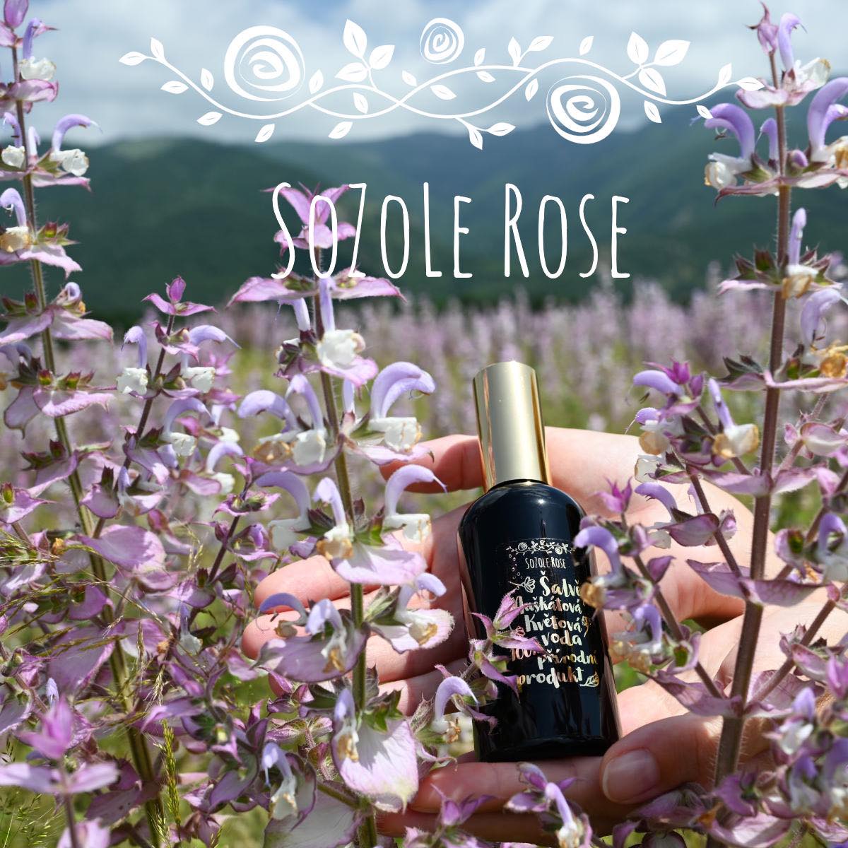 SoZoLe Rose, s.r.o. foto 3
