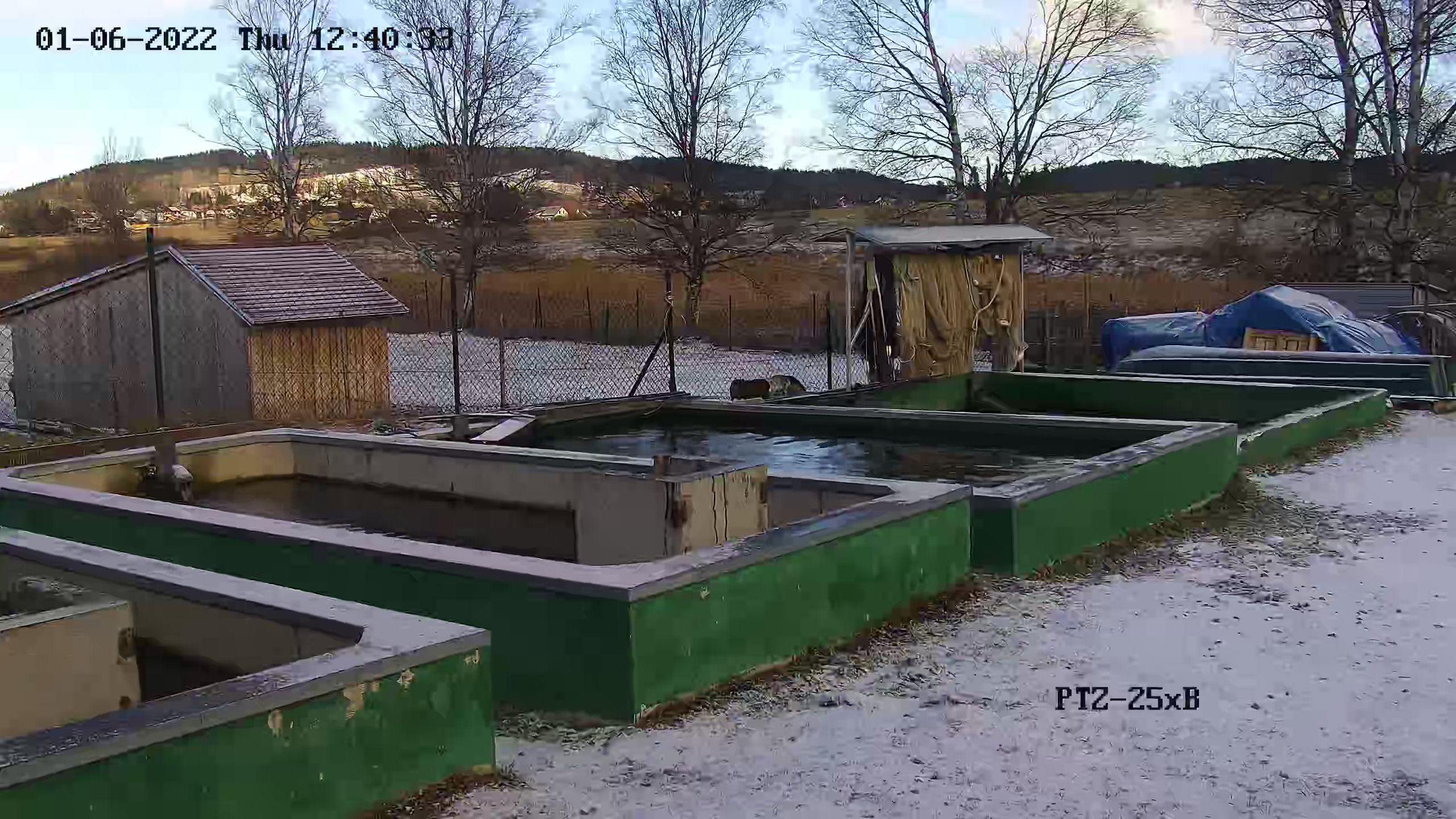 NDCryba foto 3
