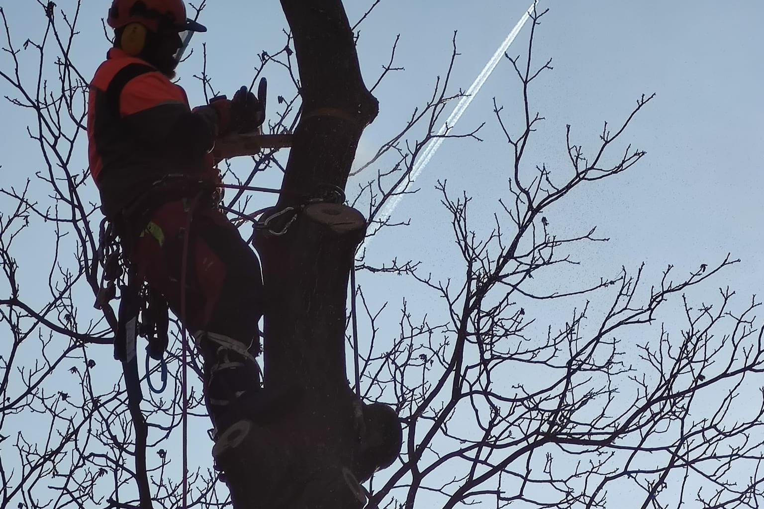 Výškové práce David Šuta