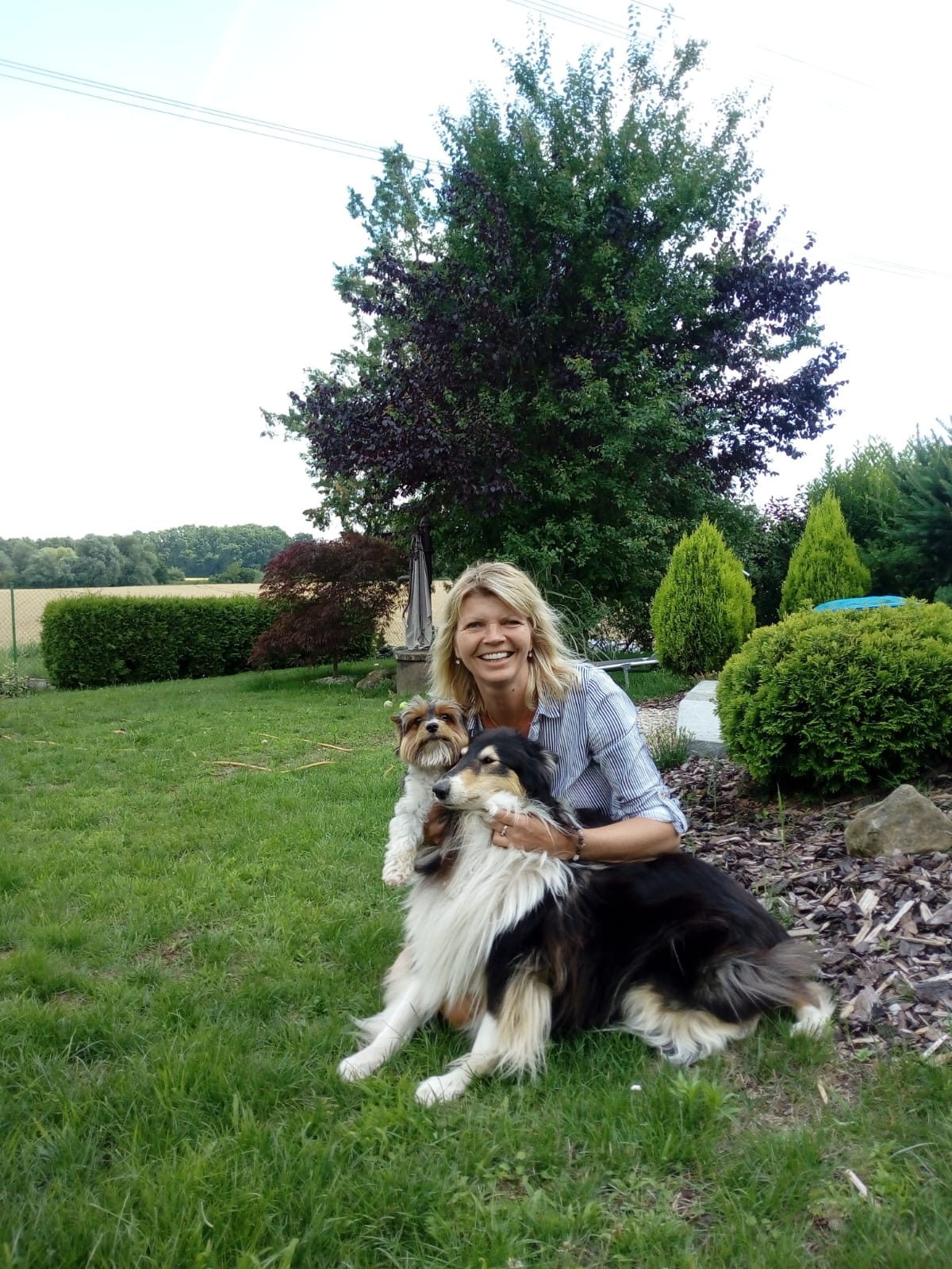 Psí hotel Psí prázdniny foto 2