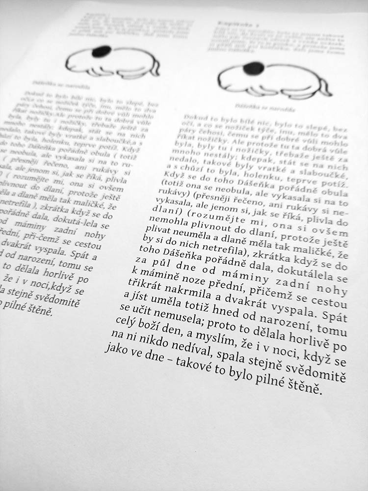 Vytisknu.to foto 3
