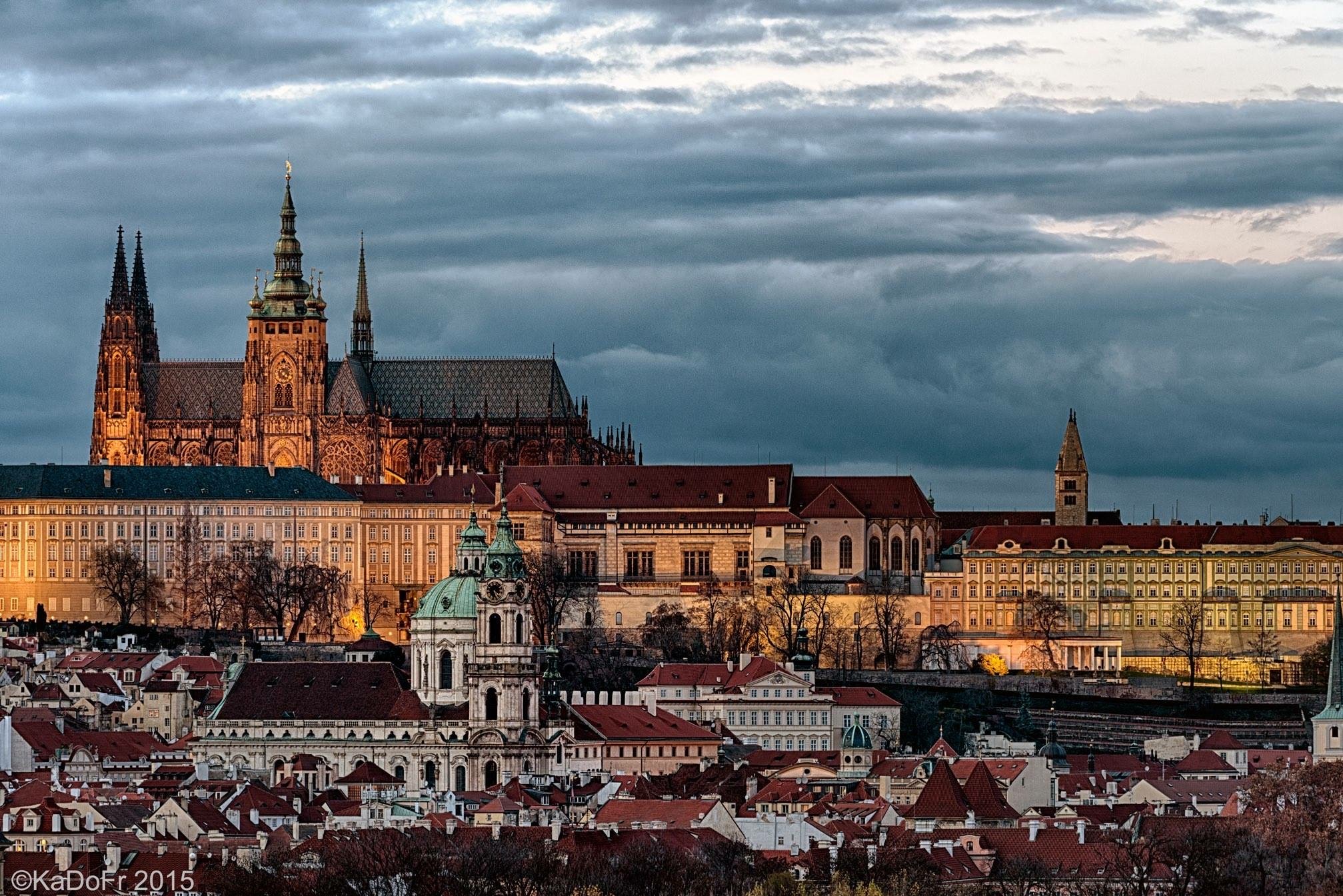 ROSE GARDEN Consulting s.r.o. foto 3