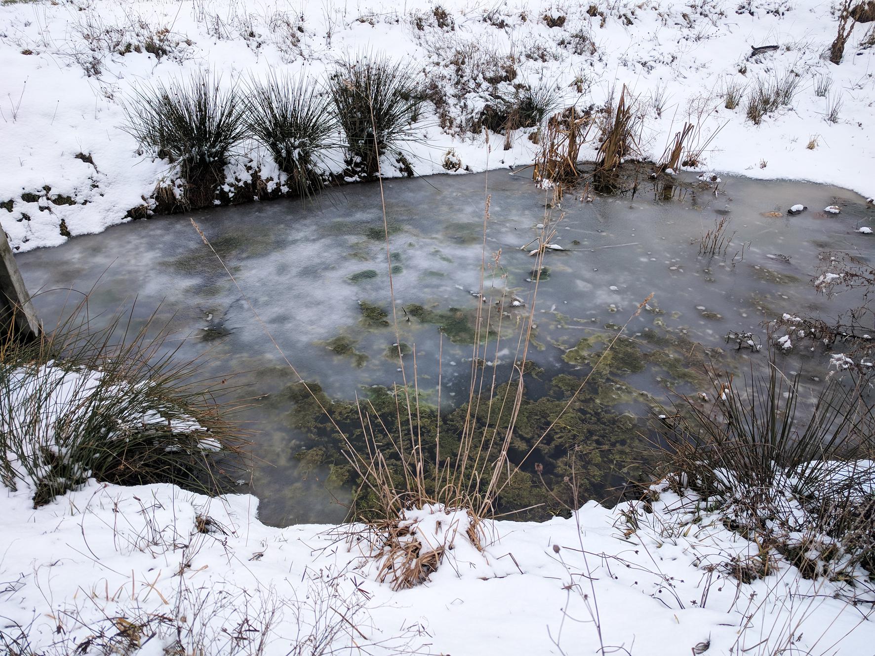 Chaloupky a lesní mateřská škola, o.p.s. foto 5
