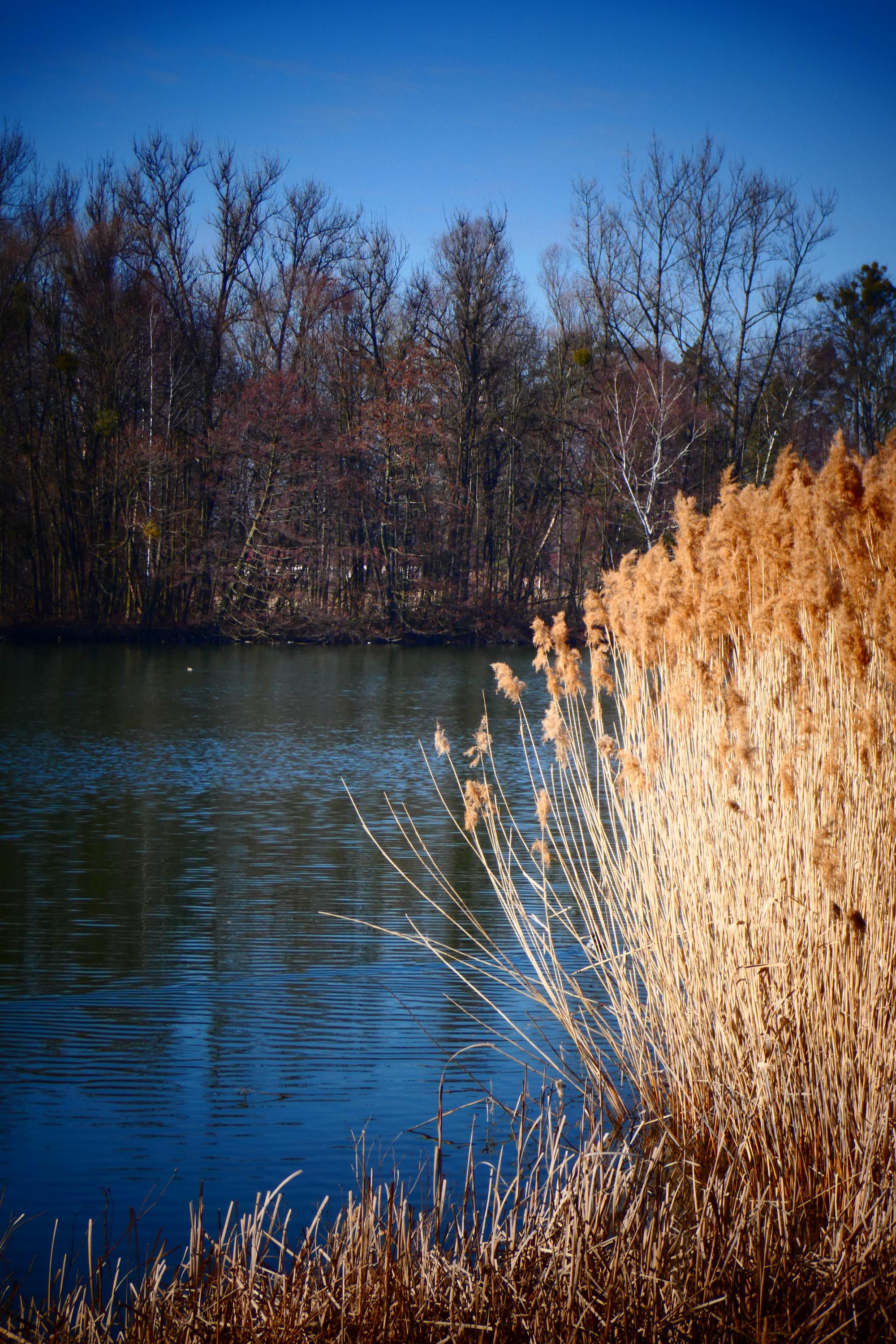 Půjčovna lodiček Dokořán foto 6