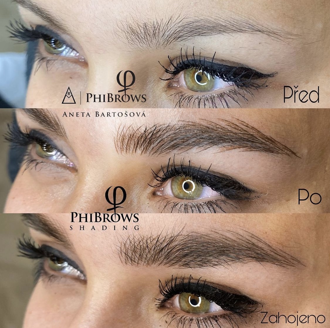 Aneta Bartošová BROWS foto 2