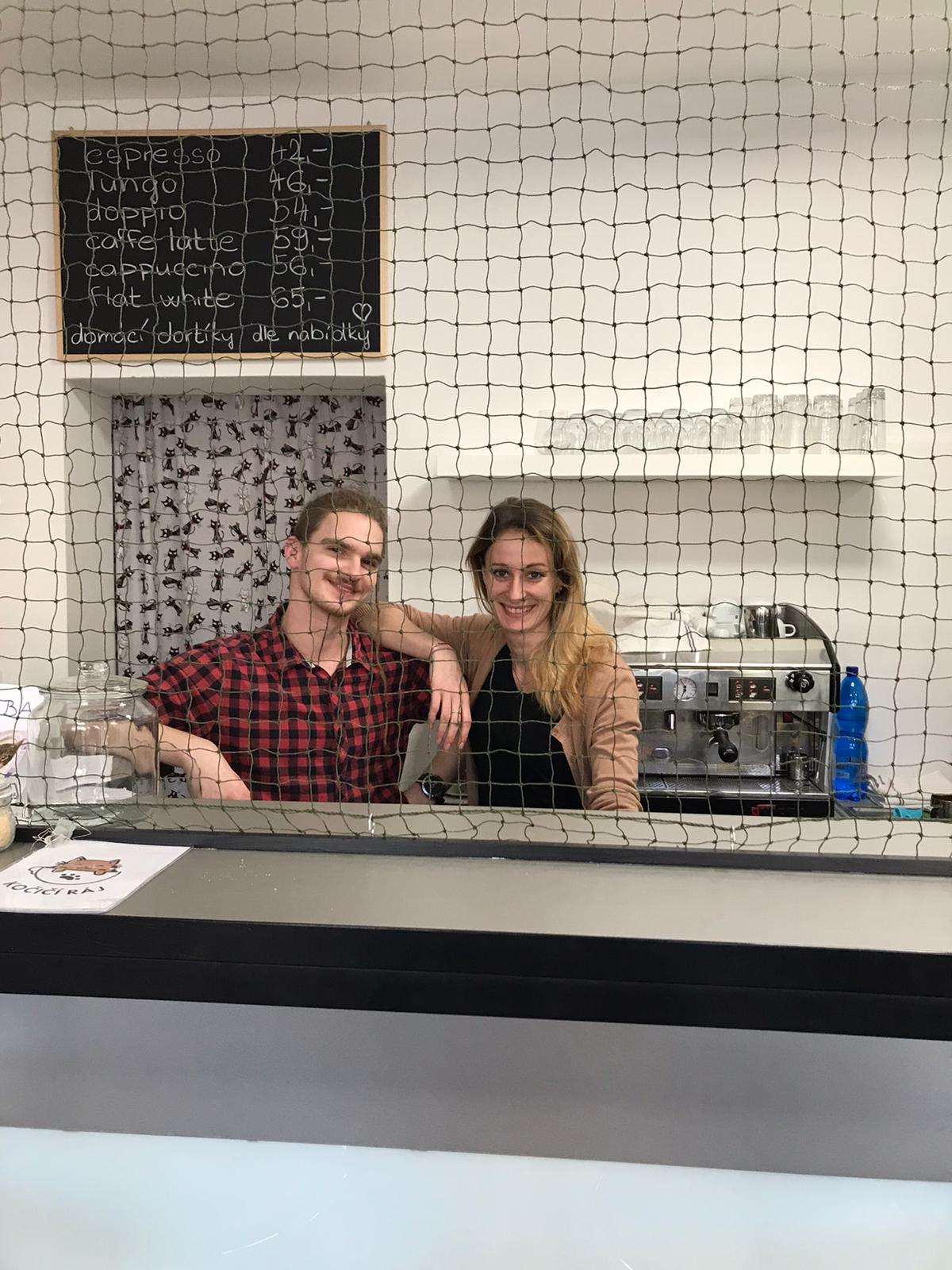 Kočičí Ráj - adopční kavárna foto 3