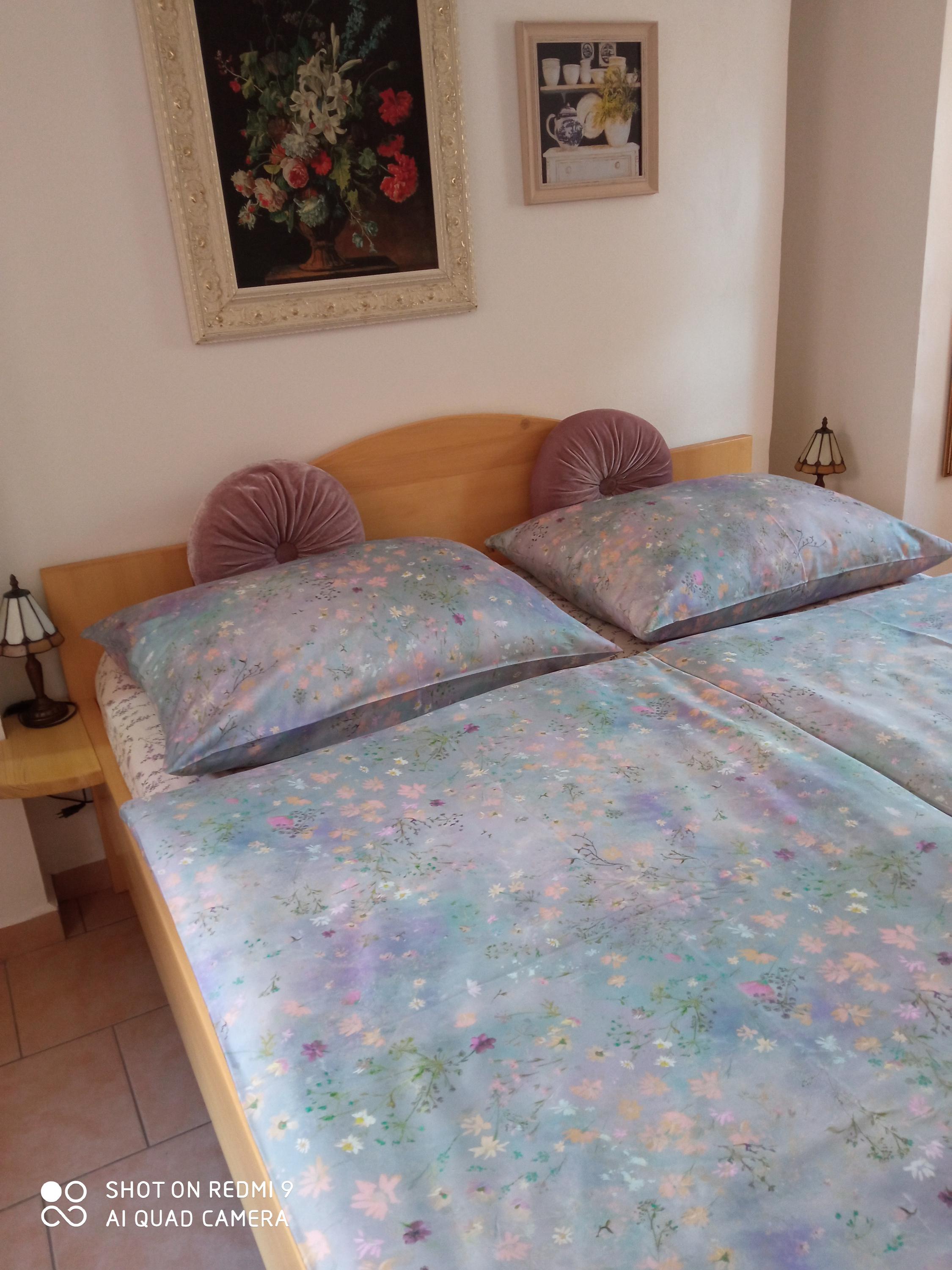 Pension Fanlor foto 4