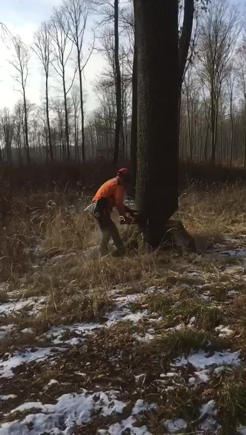 Petr Böhm foto 2 (náhled videa)