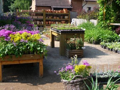 Build Your Home - Prodejní zahrada Černý Vůl foto 2