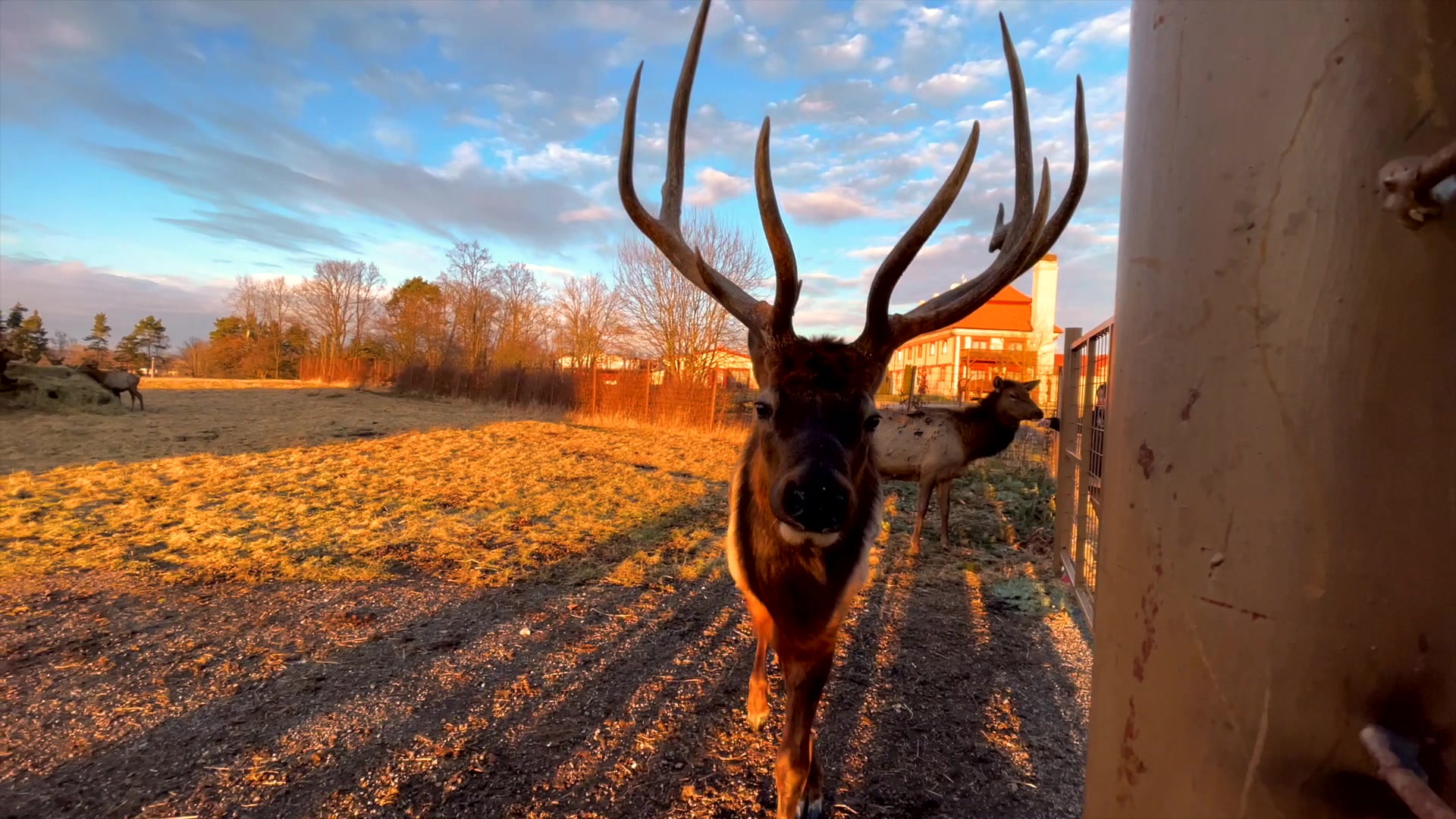 Residence Safari Resort - Teepee vesnička Tatanka foto 2 (náhled videa)