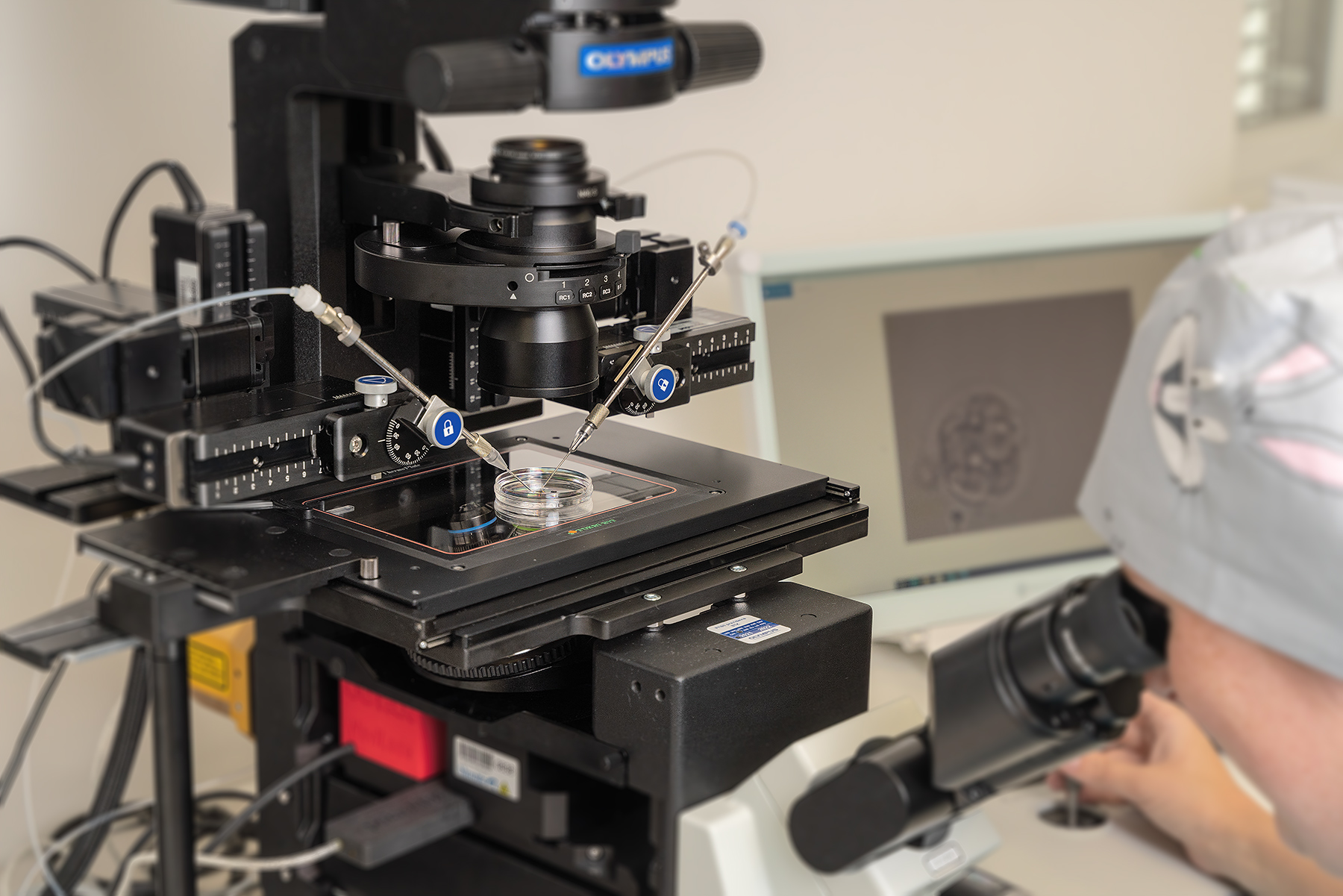 Ferticare Znojmo - ZNAMED foto 4